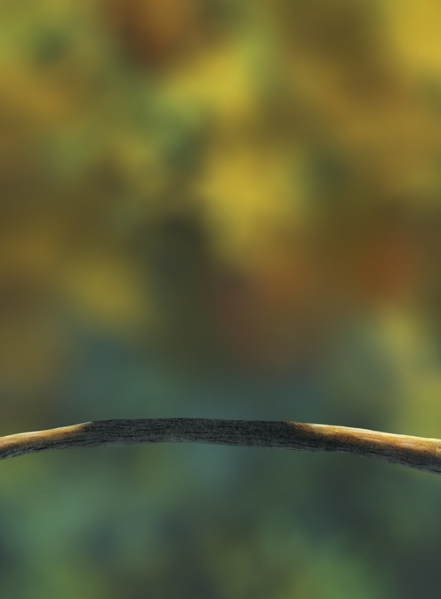 DPS Prog-1-1-Exercice5-Oiseau-Commencement_wiem.jpg