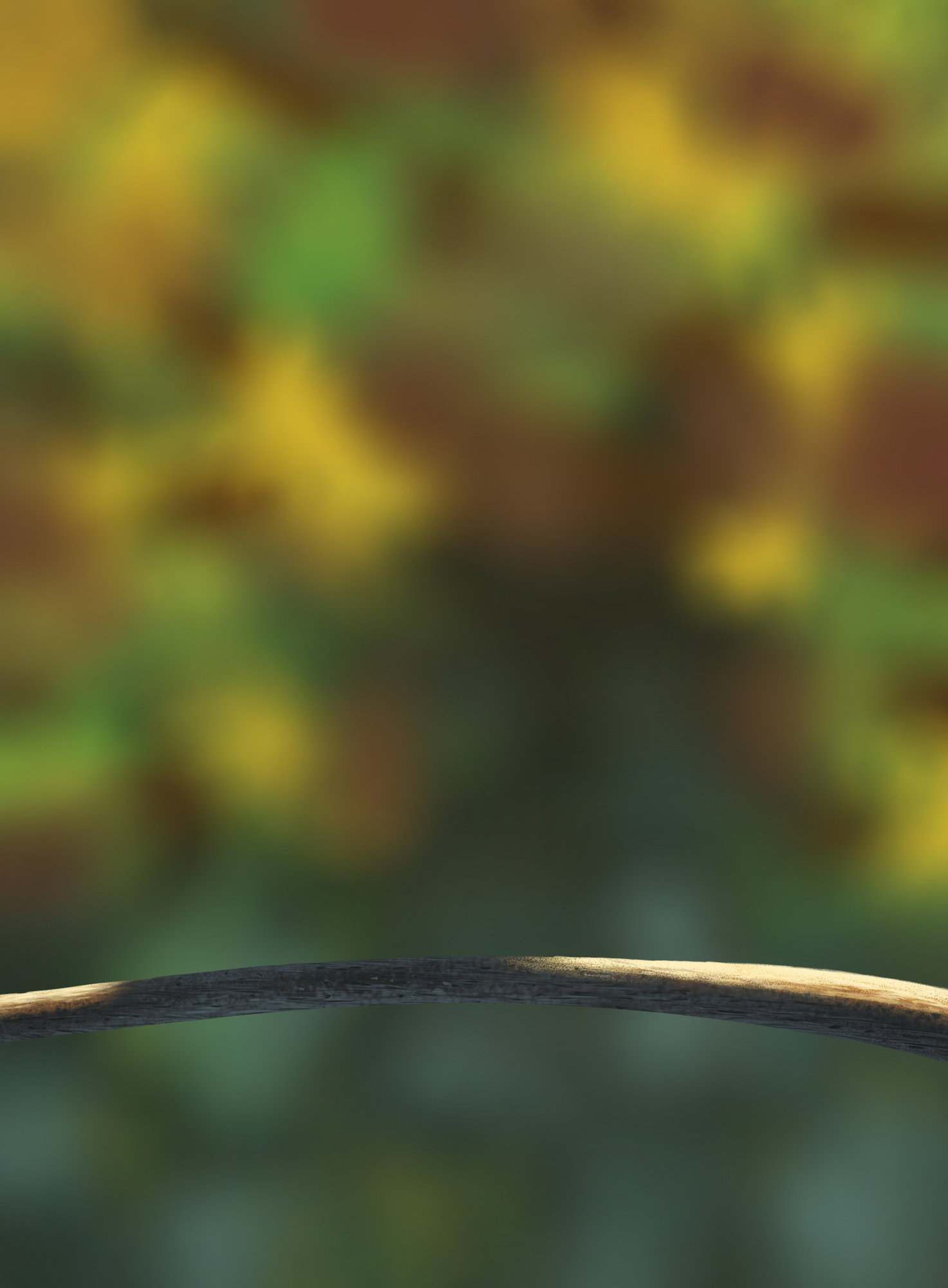 DPS Prog-1-1-Exercice5-Oiseaux.jpg