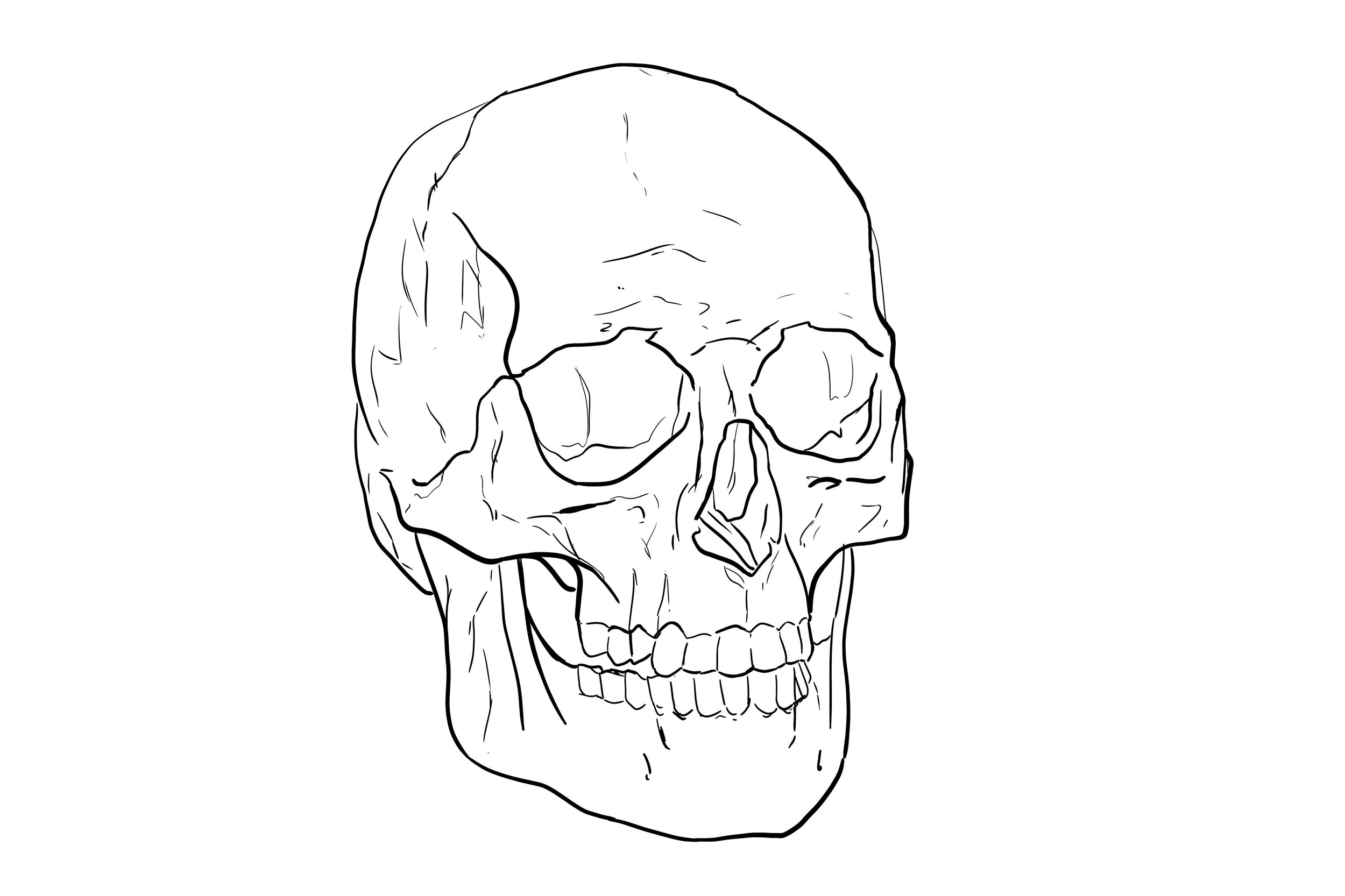162339827_skullcroquis3.jpg.b72ec433dee232b1625910ab25b674c8.jpg