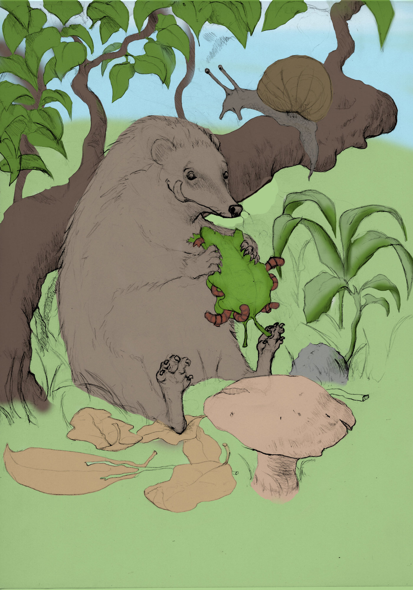 le hérisson en digital mise en place ds couleurs de base.jpg