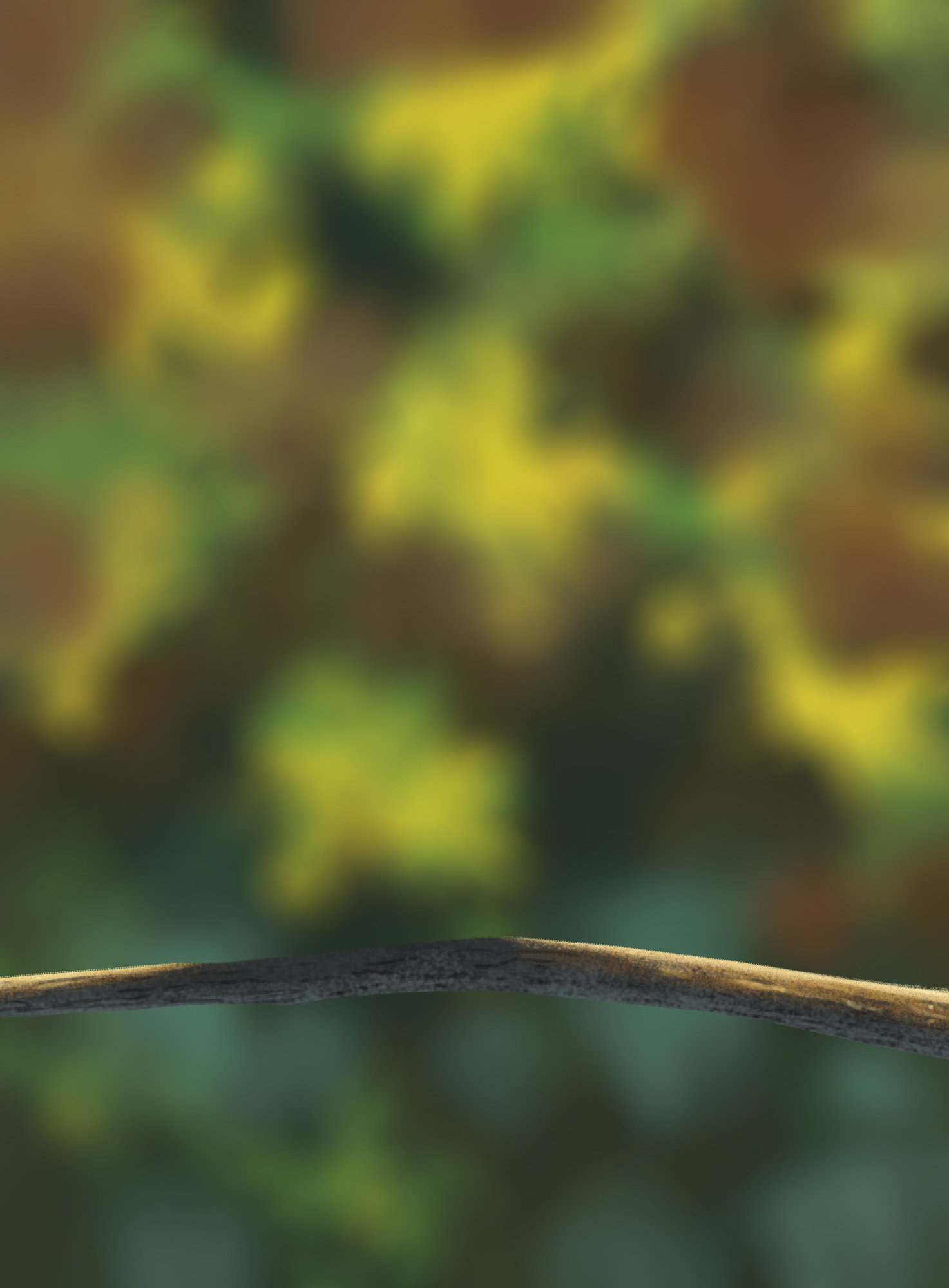 DPS Prog-1-1-Exercice5-Oiseau-Commencement.jpg