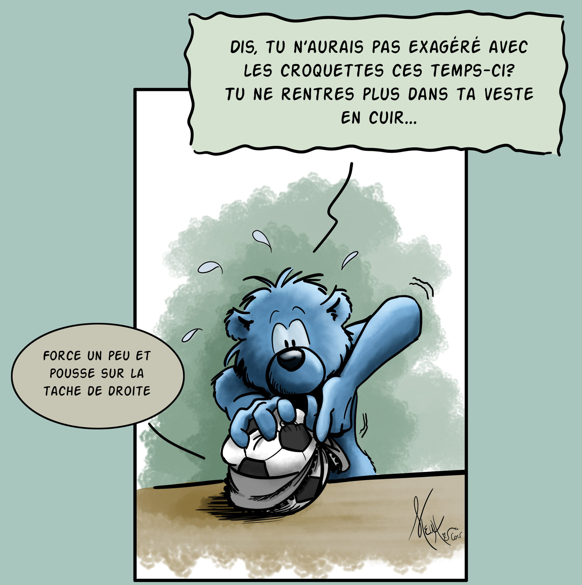 Ronditude montage BD.jpg