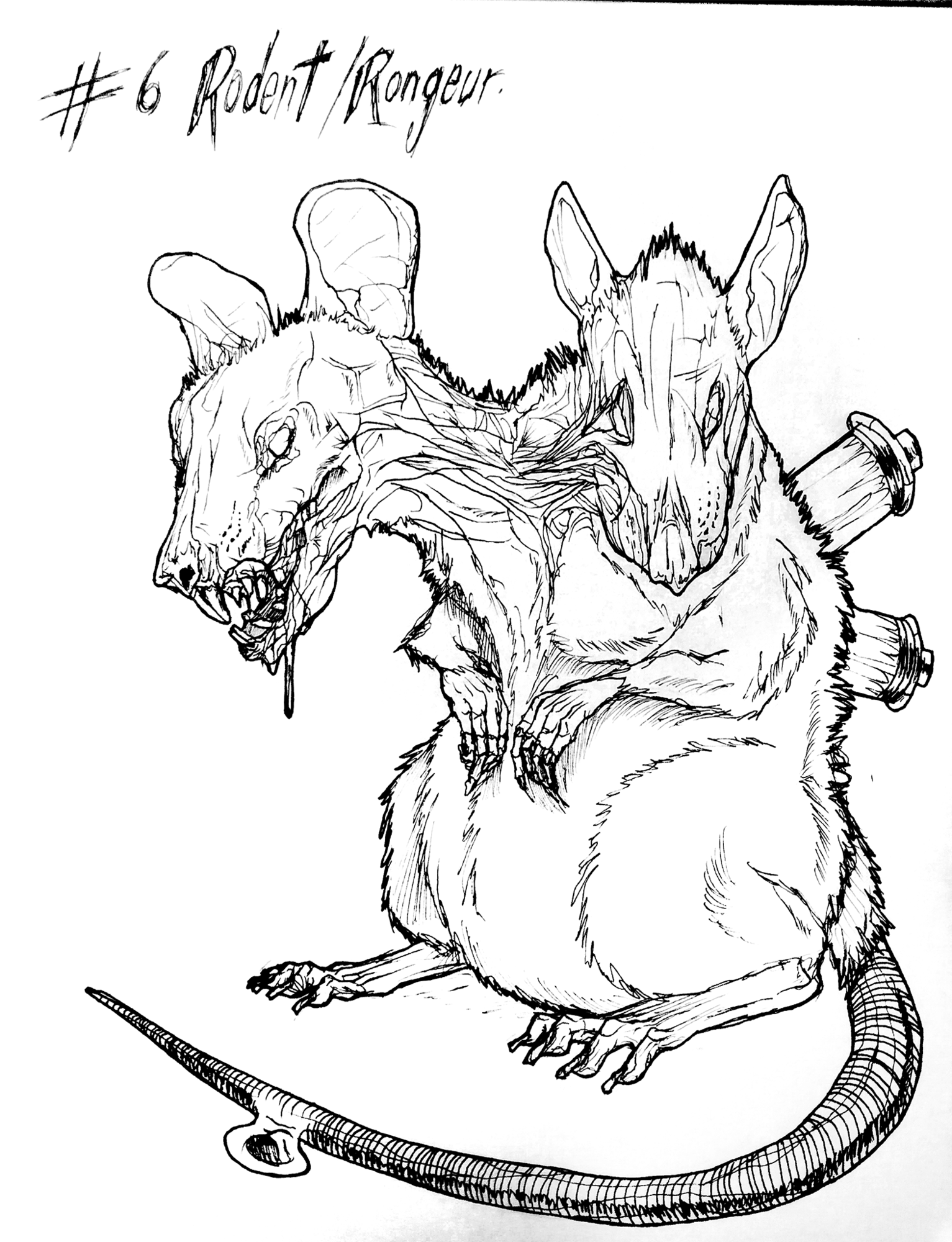 6_Rongeur.png