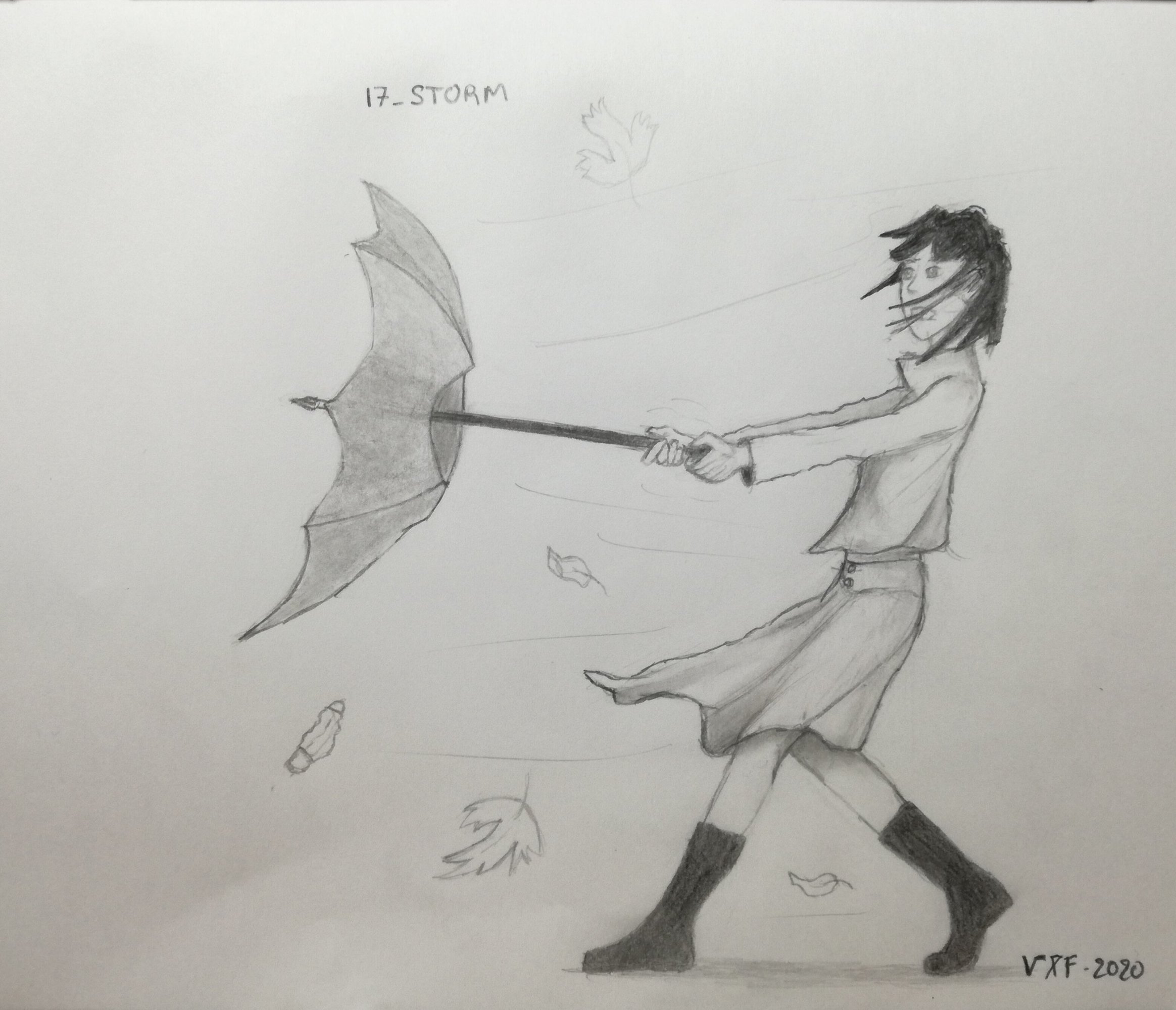 17-Storm inktober 2020 VLF.jpg