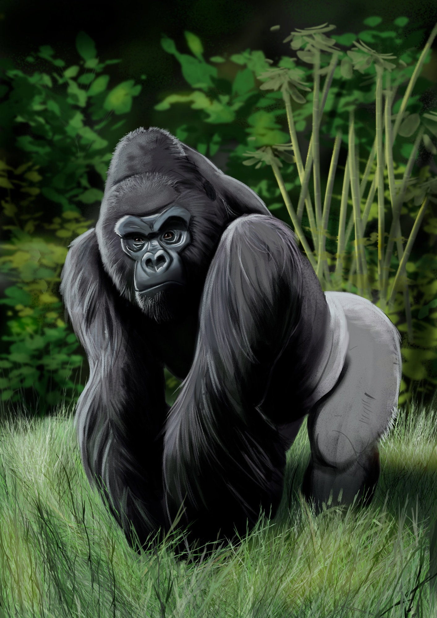 gorille-impression.jpg