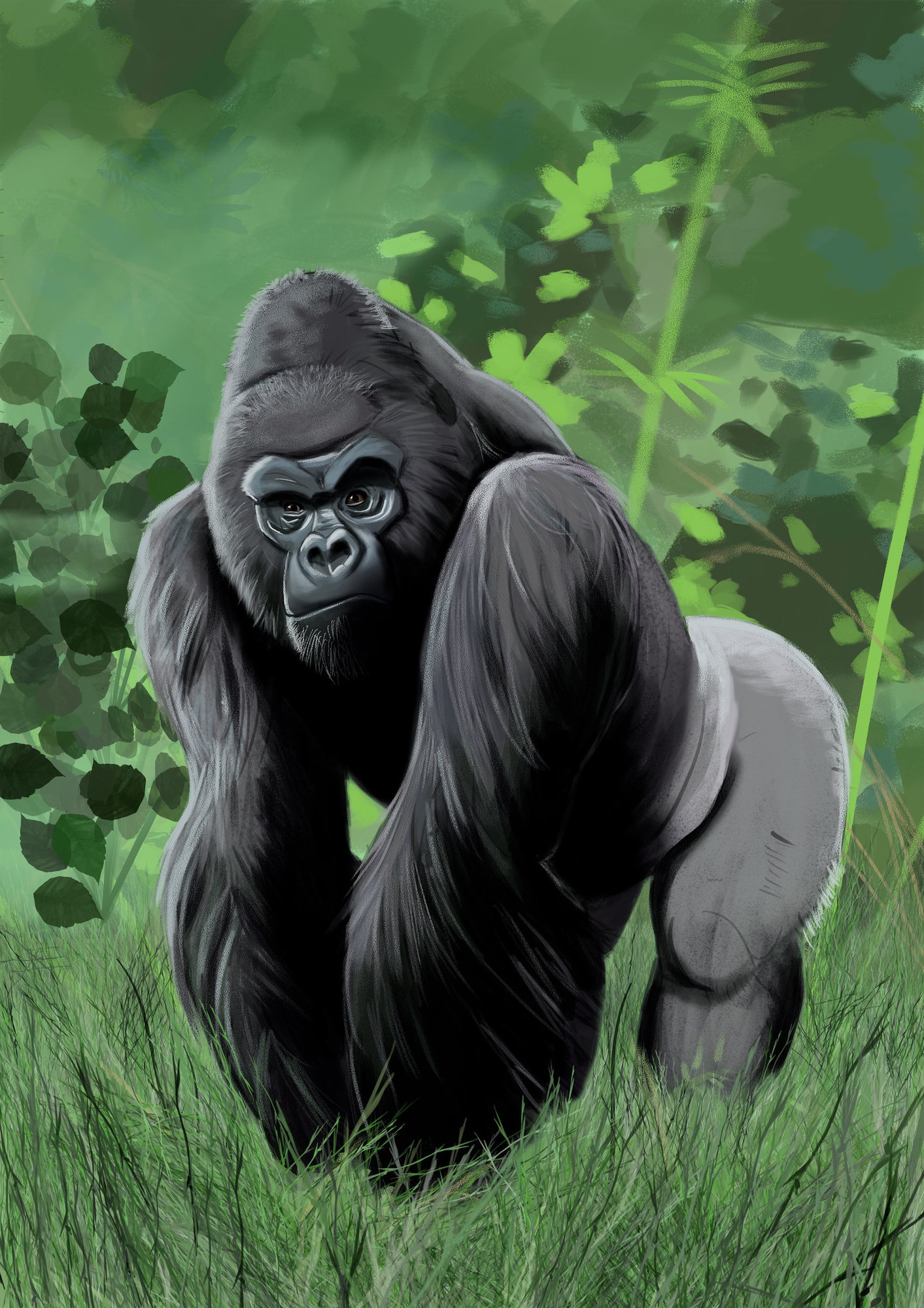 gorille.jpg