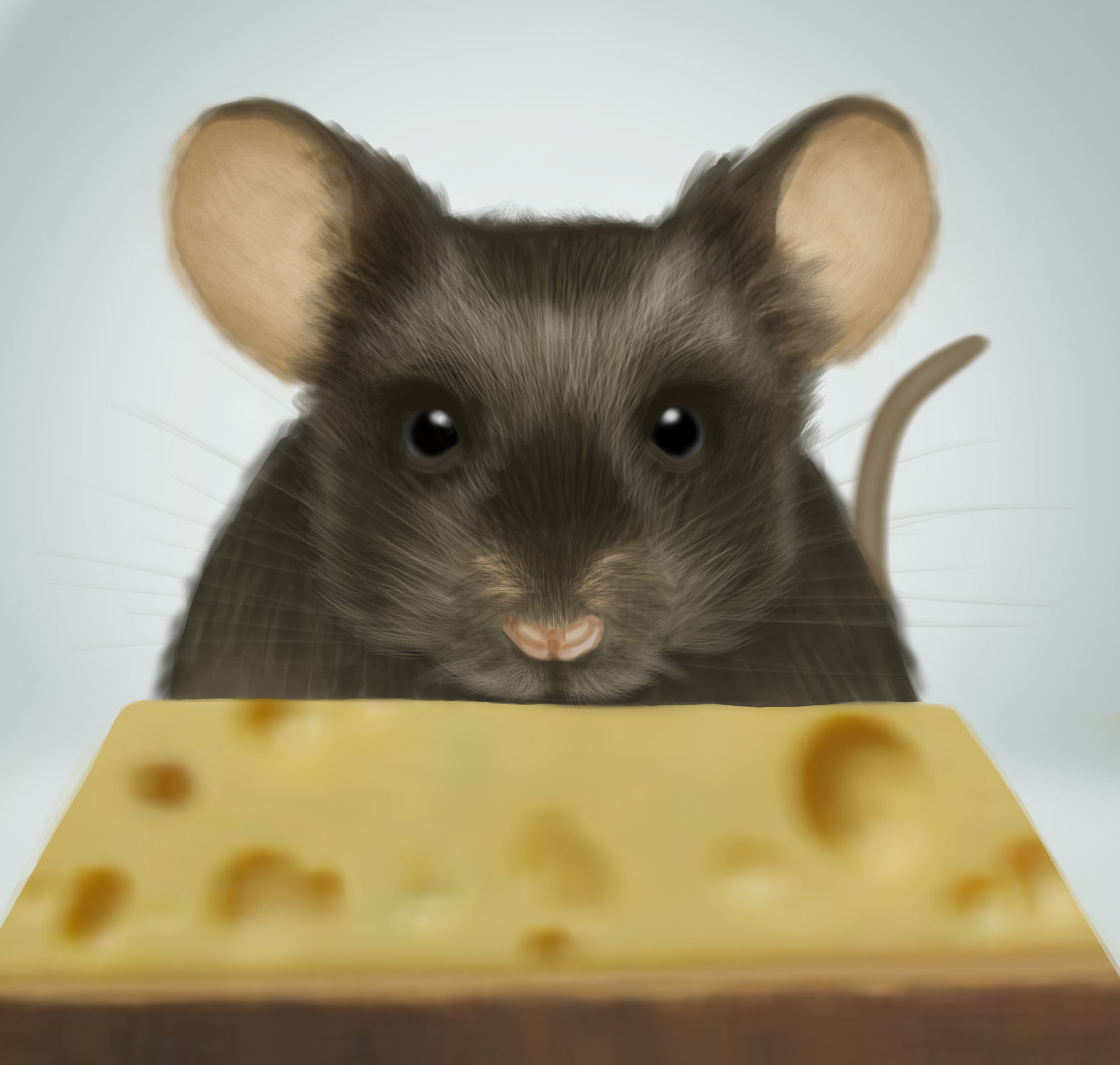 rodent.jpg.0fc231b6778f0b88a8057e64fc599f1e.jpg