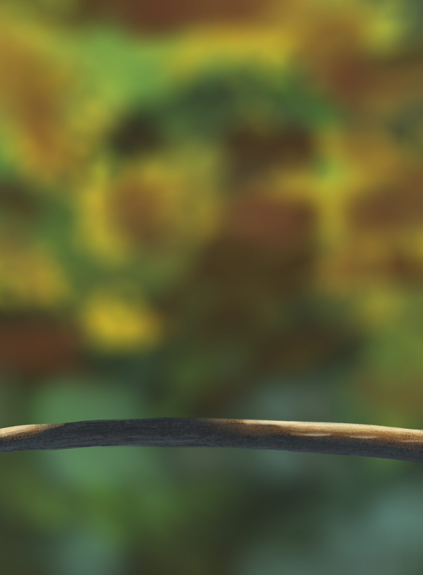 DPS Prog-1-1-Exercice5-Oiseau-Commencement FIN.png