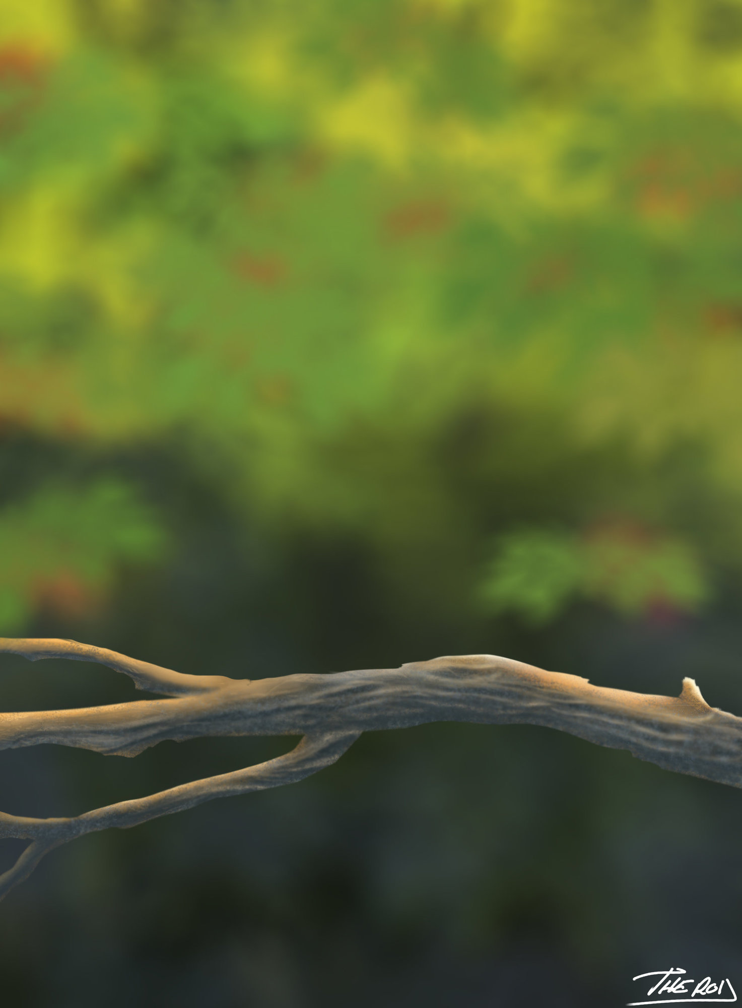 branche fin 0411201158-0411201107.jpg