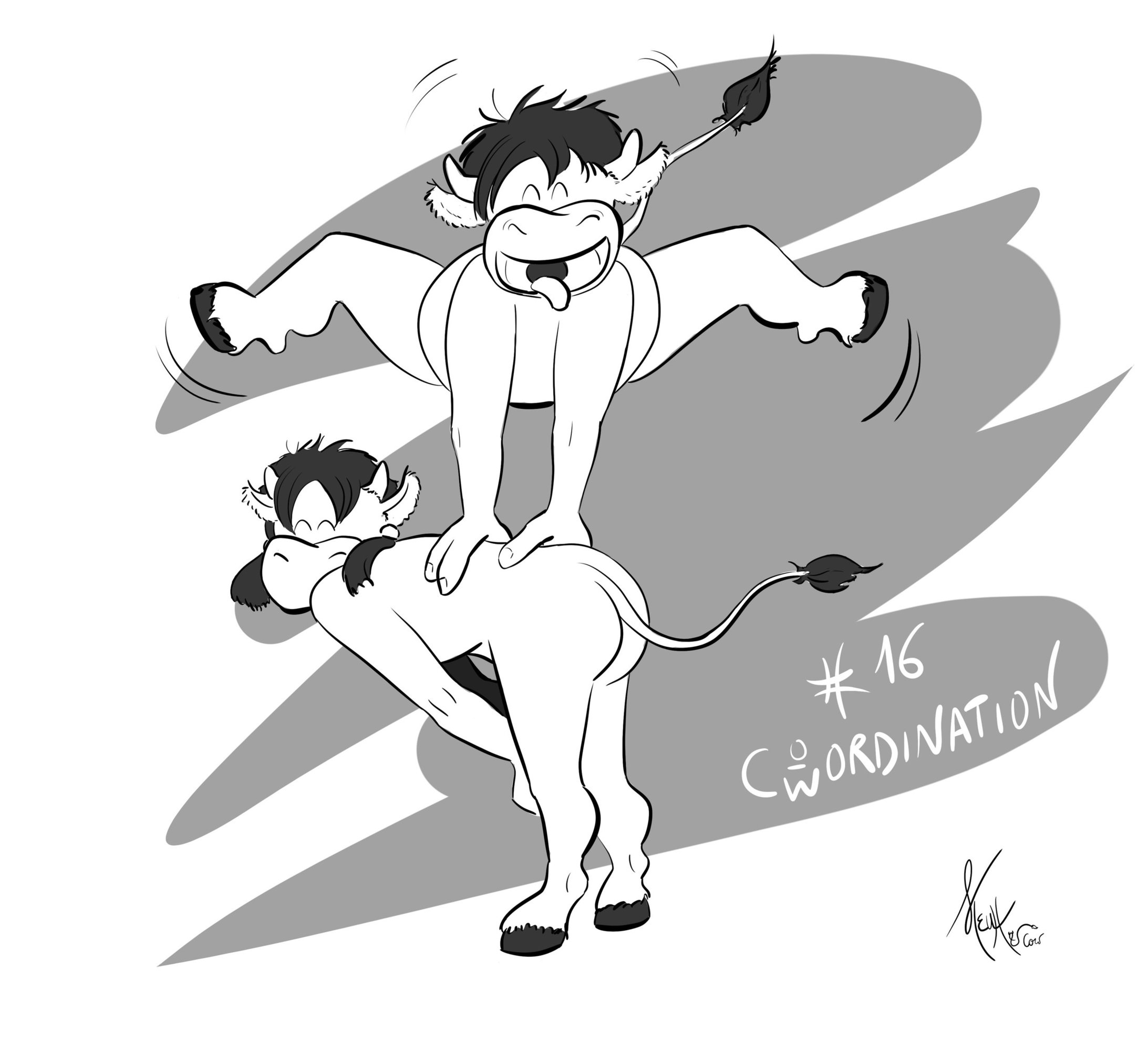 16. Cowordination.jpg