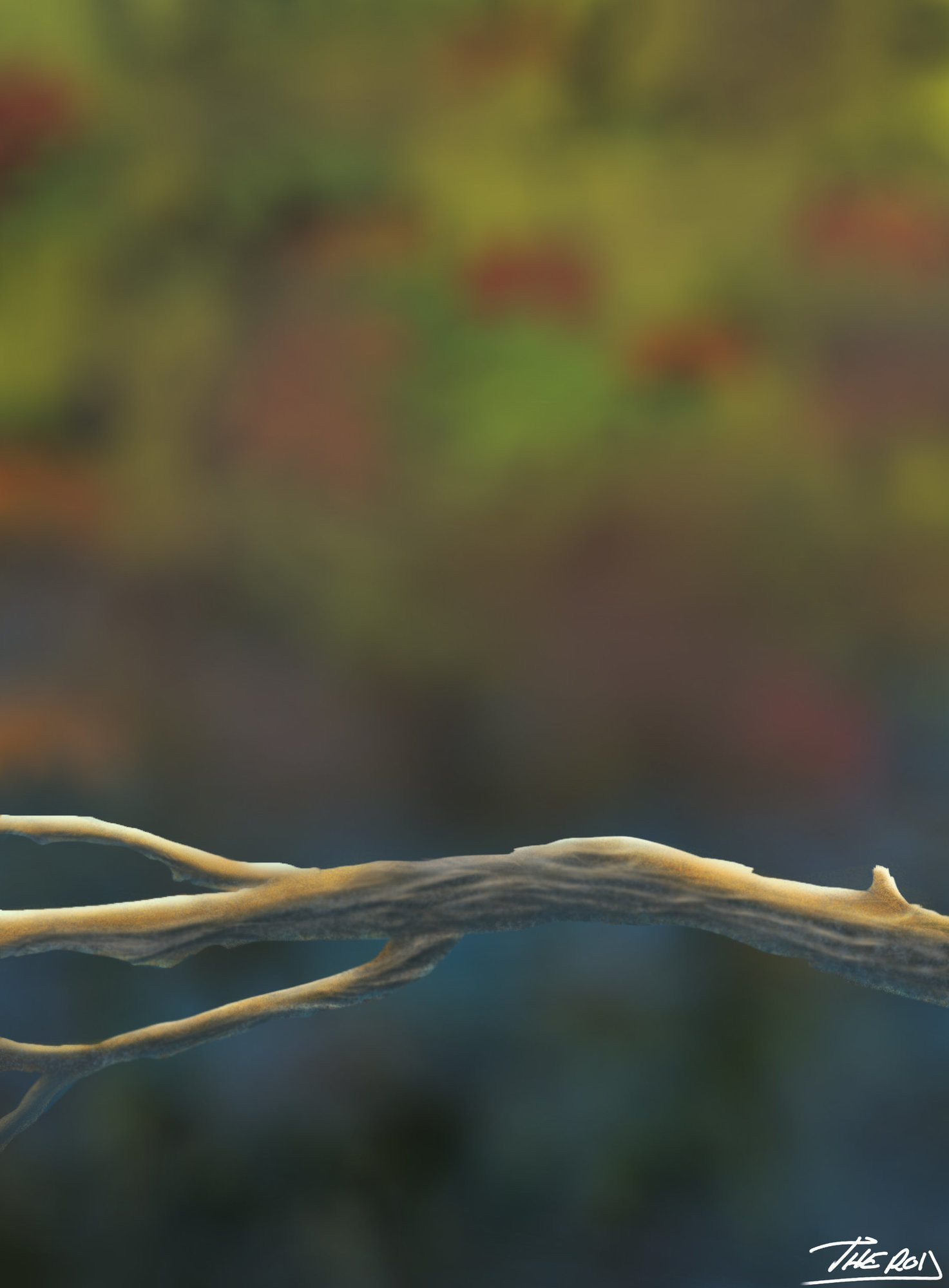 devoir branche cor-1011201143.jpg