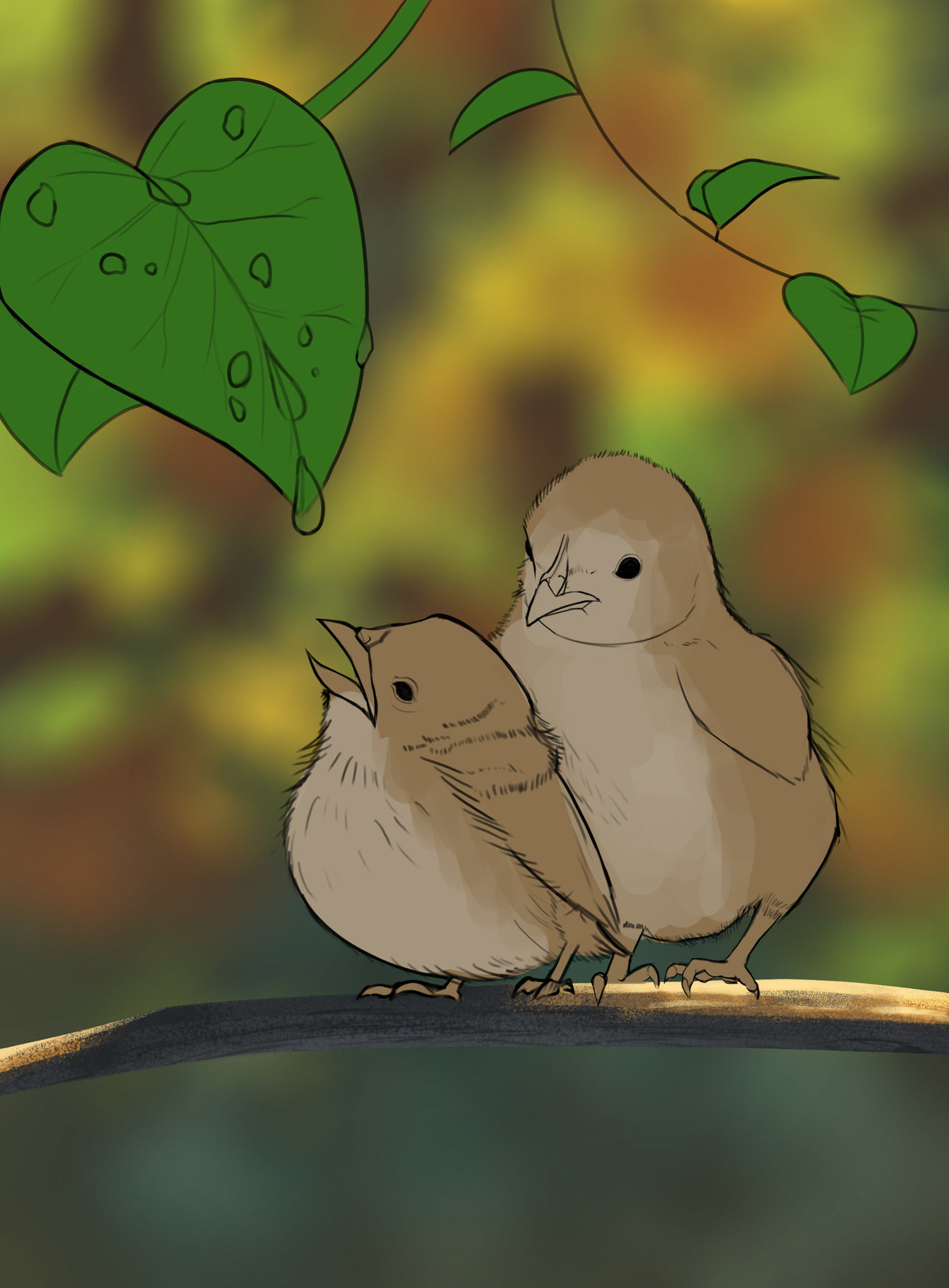 Croquis Oisillons.jpg