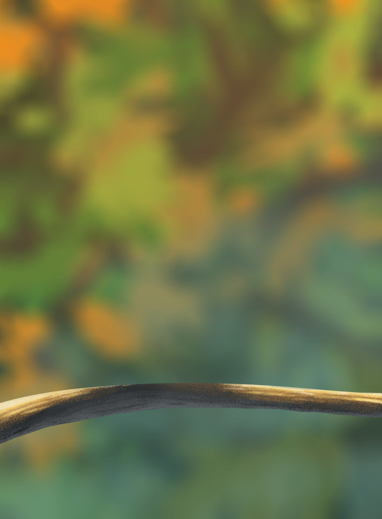 DPS Prog-1-1-Exercice5-Oiseau-Commencement-Xileflix.jpg