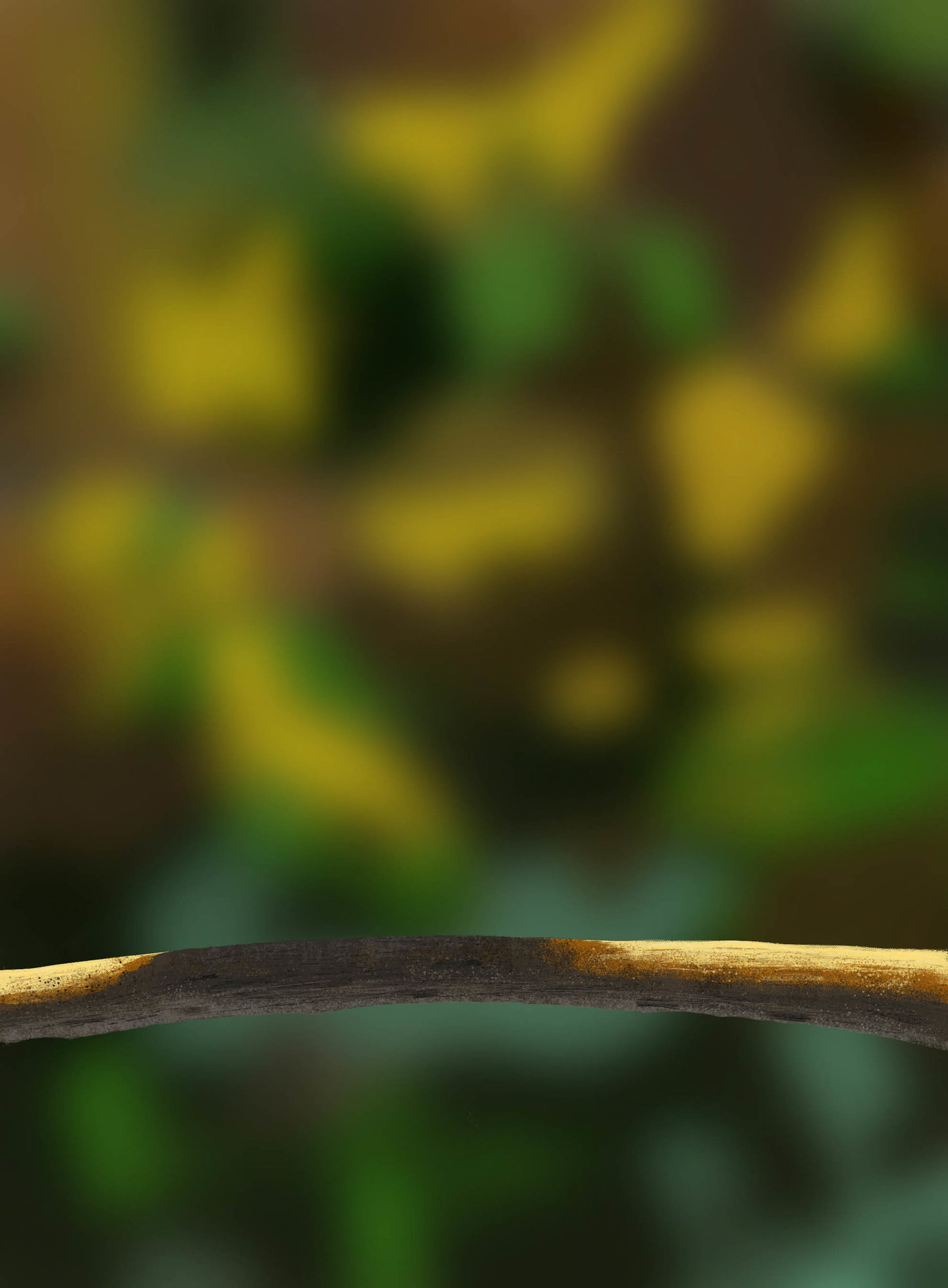 DPS Prog-1-1-Exercice5-Oiseau-Commencement.jpg