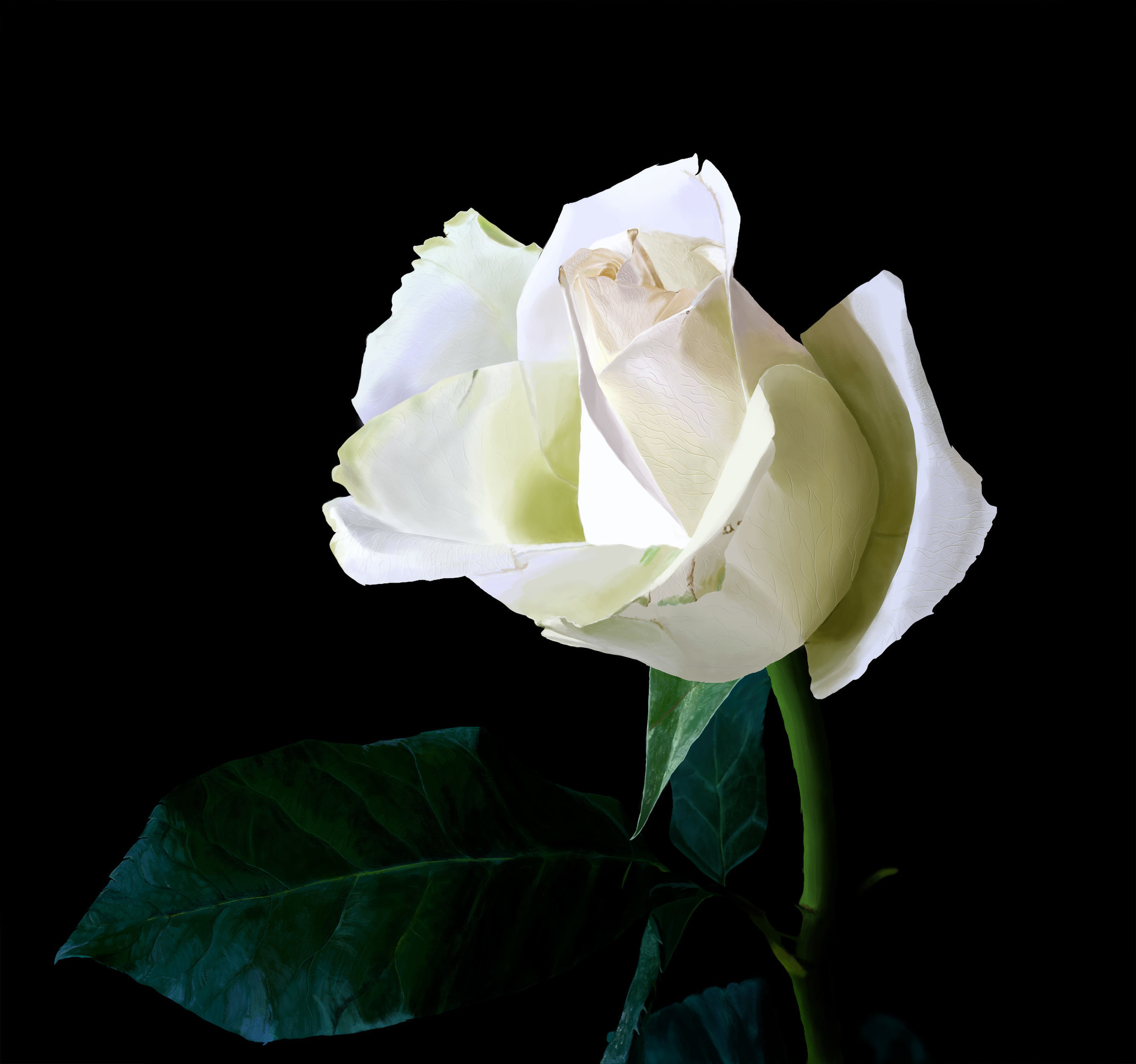 fleur finale VLF.jpg