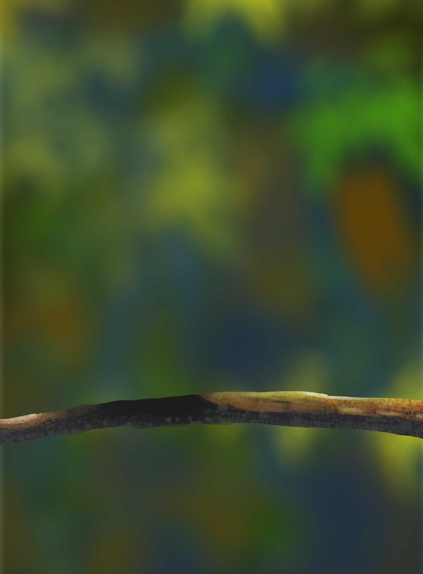 DPS Prog-1-1-Exercice5-Oiseau-Commencement.jpg