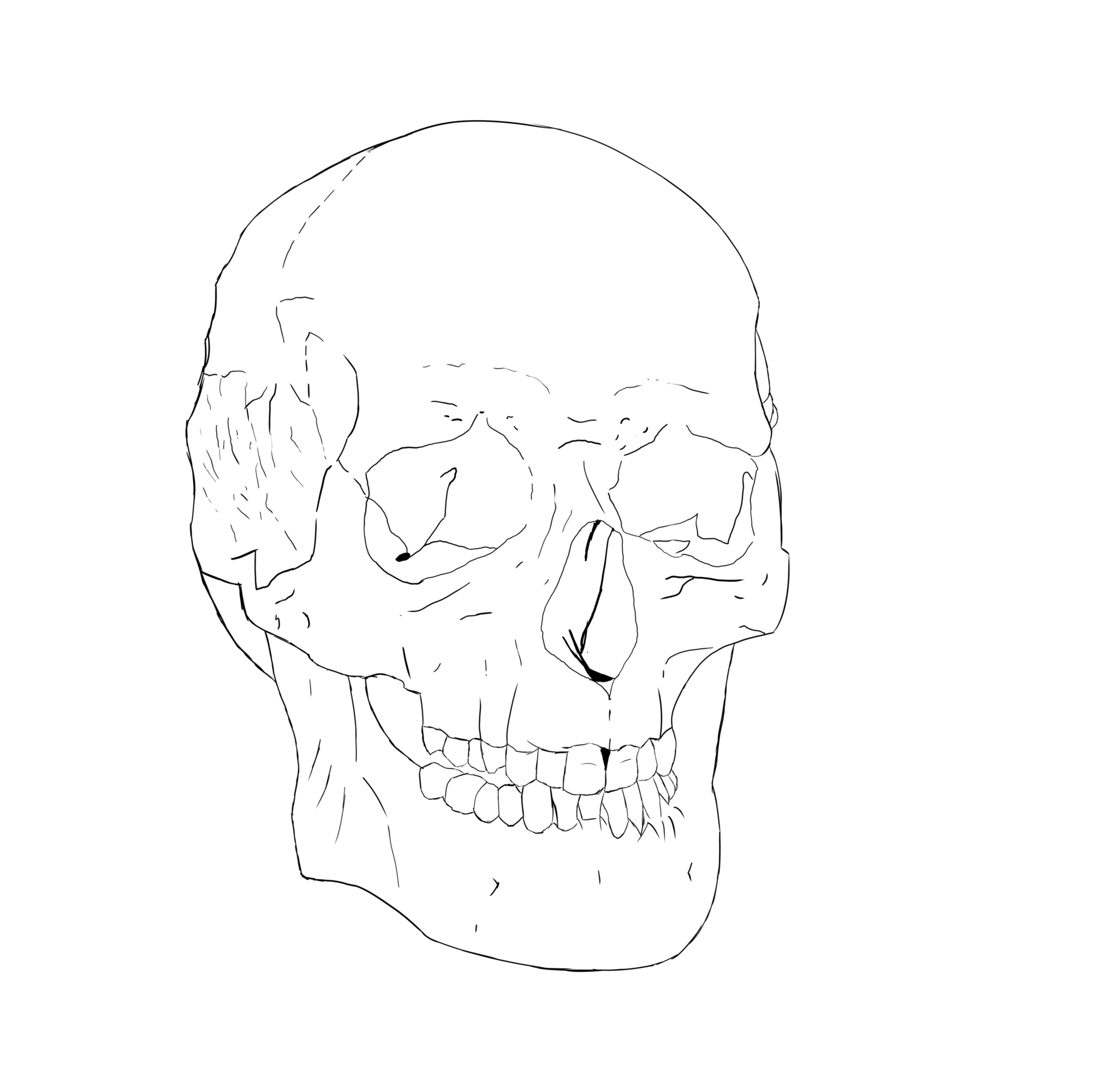 crane croquis v2.png