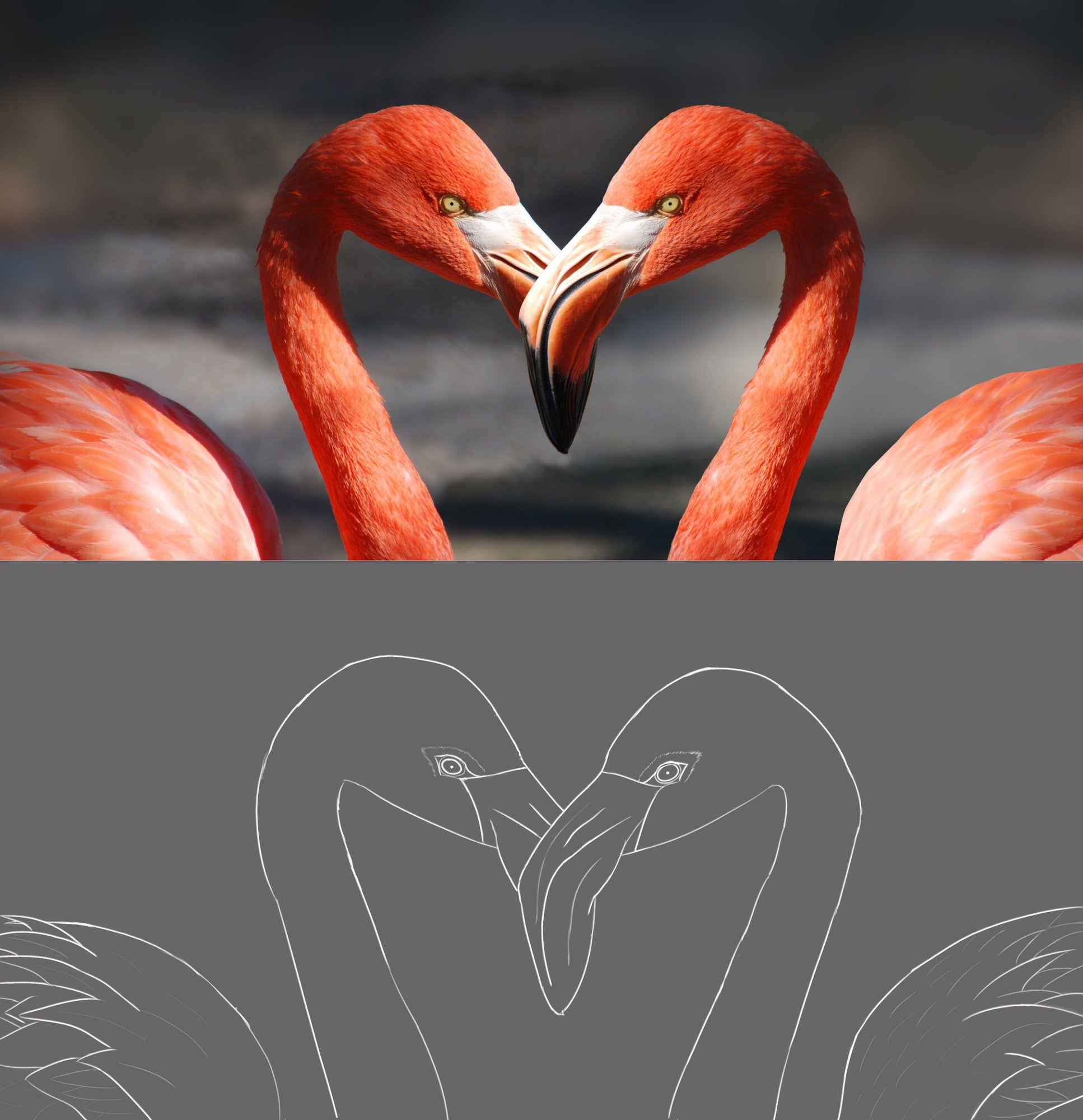 Flamingo.thumb.jpg.db2ad939b9f5c7e3a7efeb397787bed8.jpg