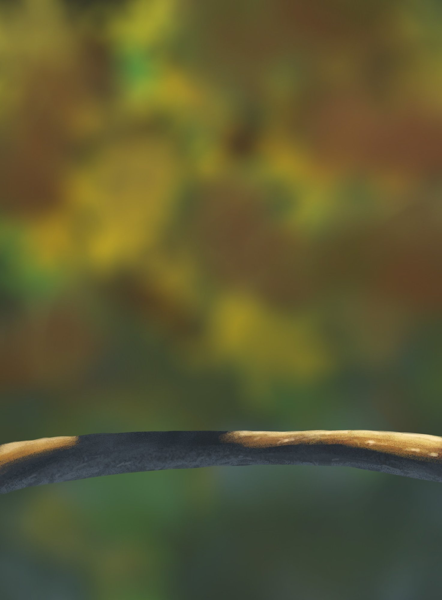 DPS Prog-1-1-Exercice5-Oiseau-Commencement.jpg