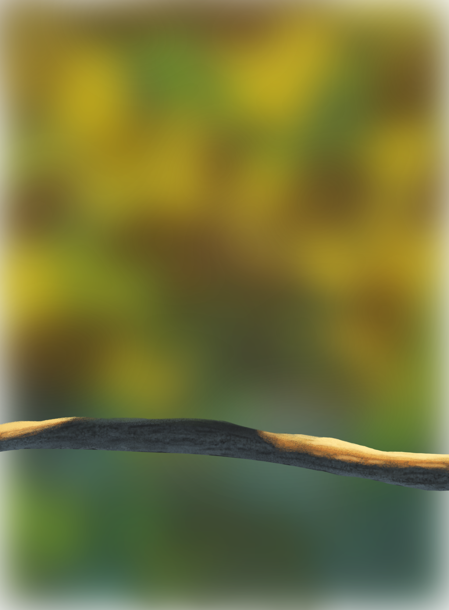 ²DPS Prog-1-1-Exercice5-Oiseau-Commencement.png