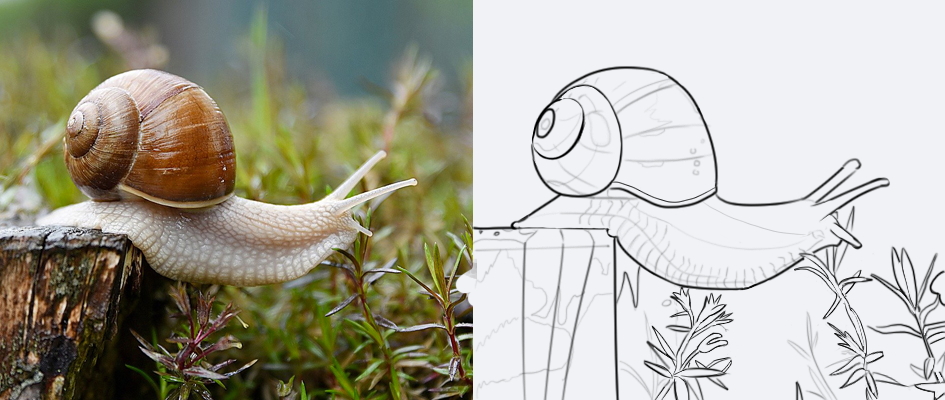 872605201_escargotcroquis.png.070890336e7e2304f5ebc6c62d7eee20.png