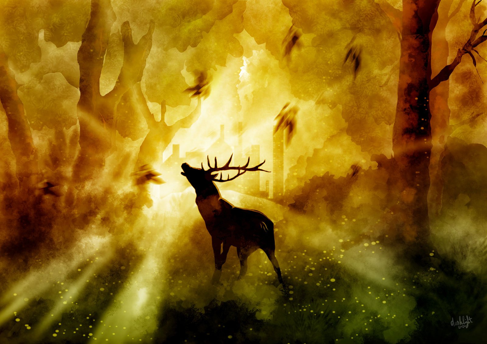 Paysage-6-Dusklight-WEB.jpg.99fea365535265e726a8a928ea4d050d.jpg
