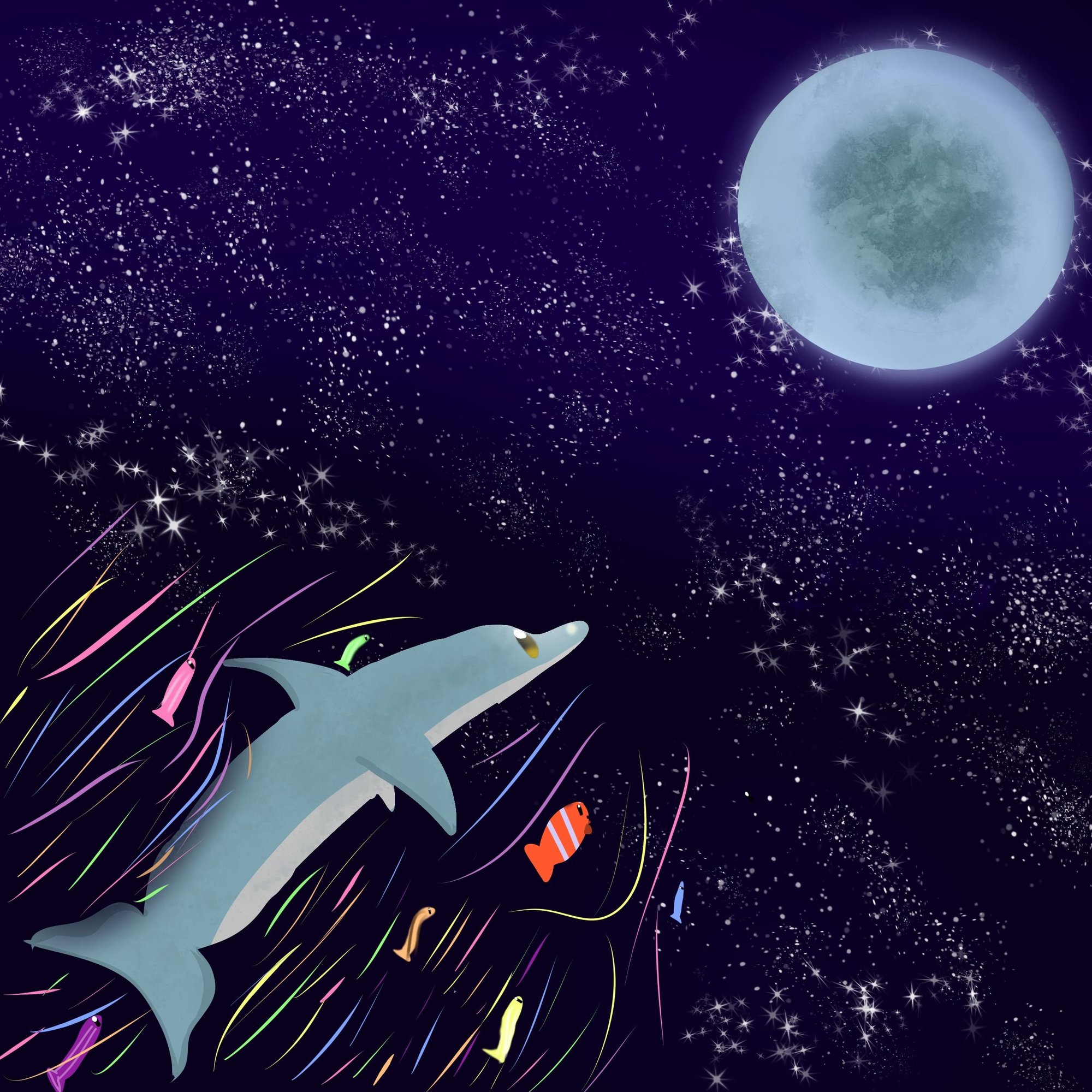 dolphino.jpg