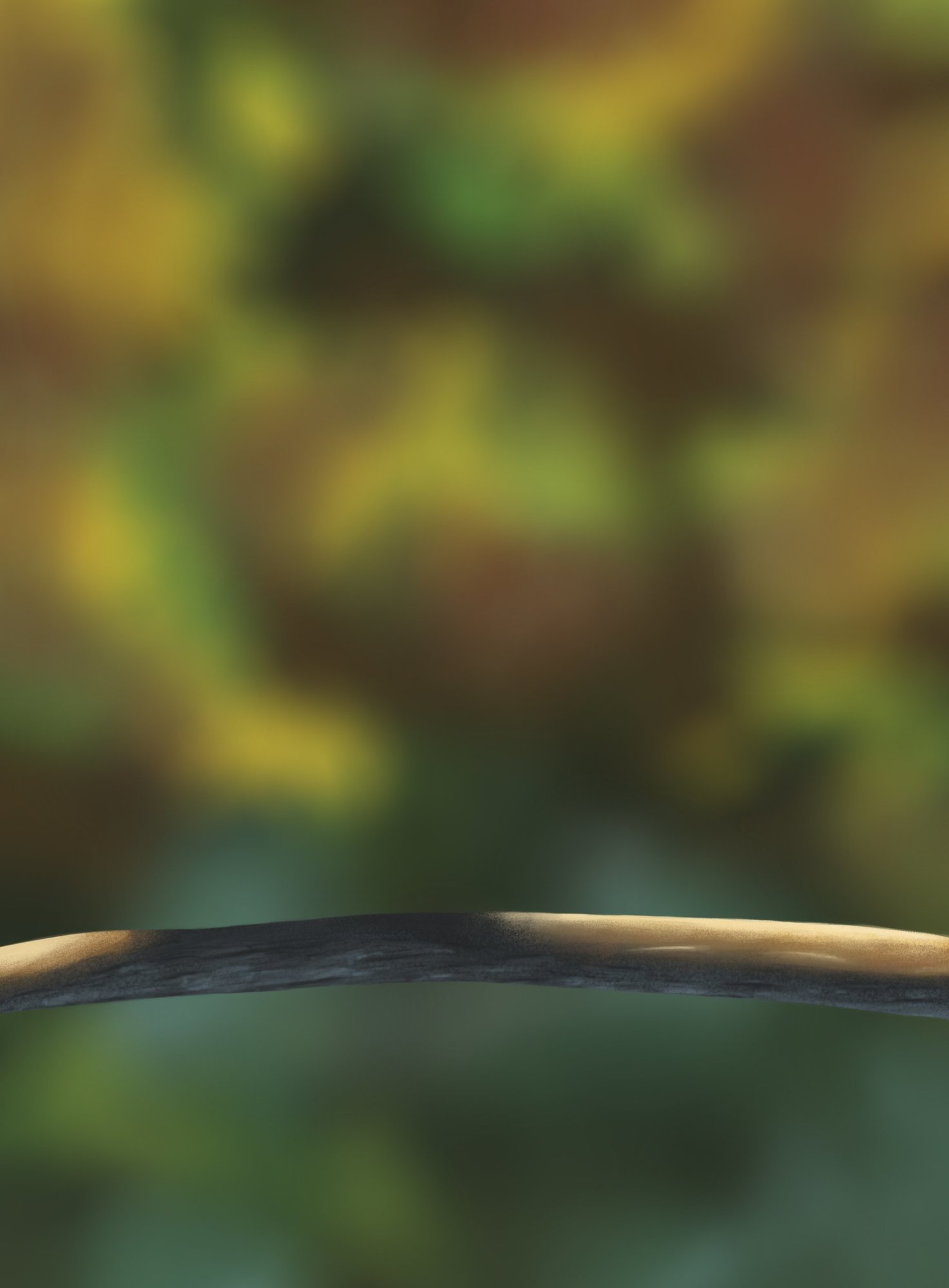 DPS Prog-1-1-Exercice5-Oiseau-Commencement.jpg