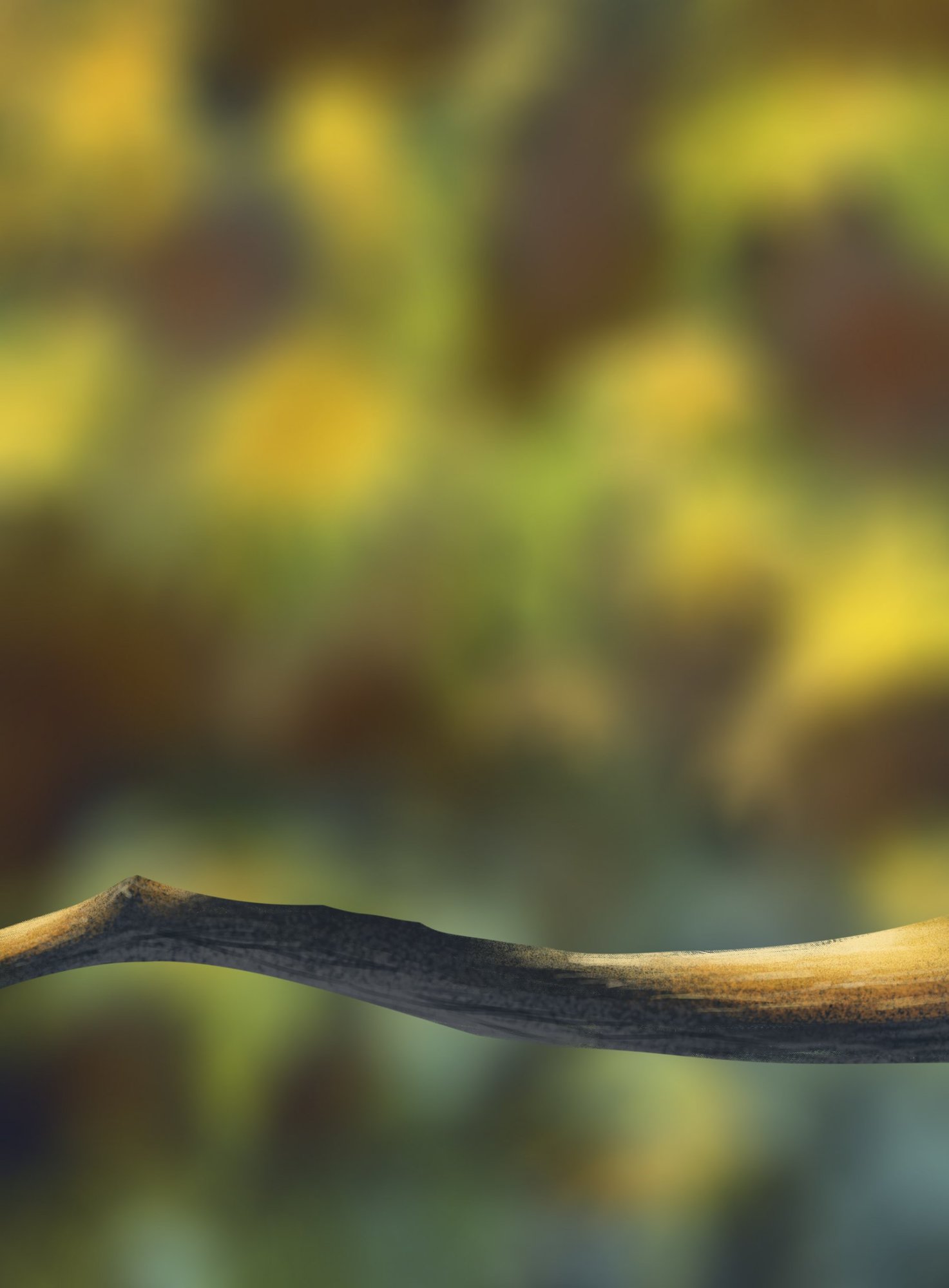 exercice branche .jpg