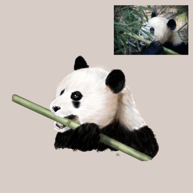 2101-Bambou-Panda.png.f2cf236c91284577af97b5ccbb32f09d.png