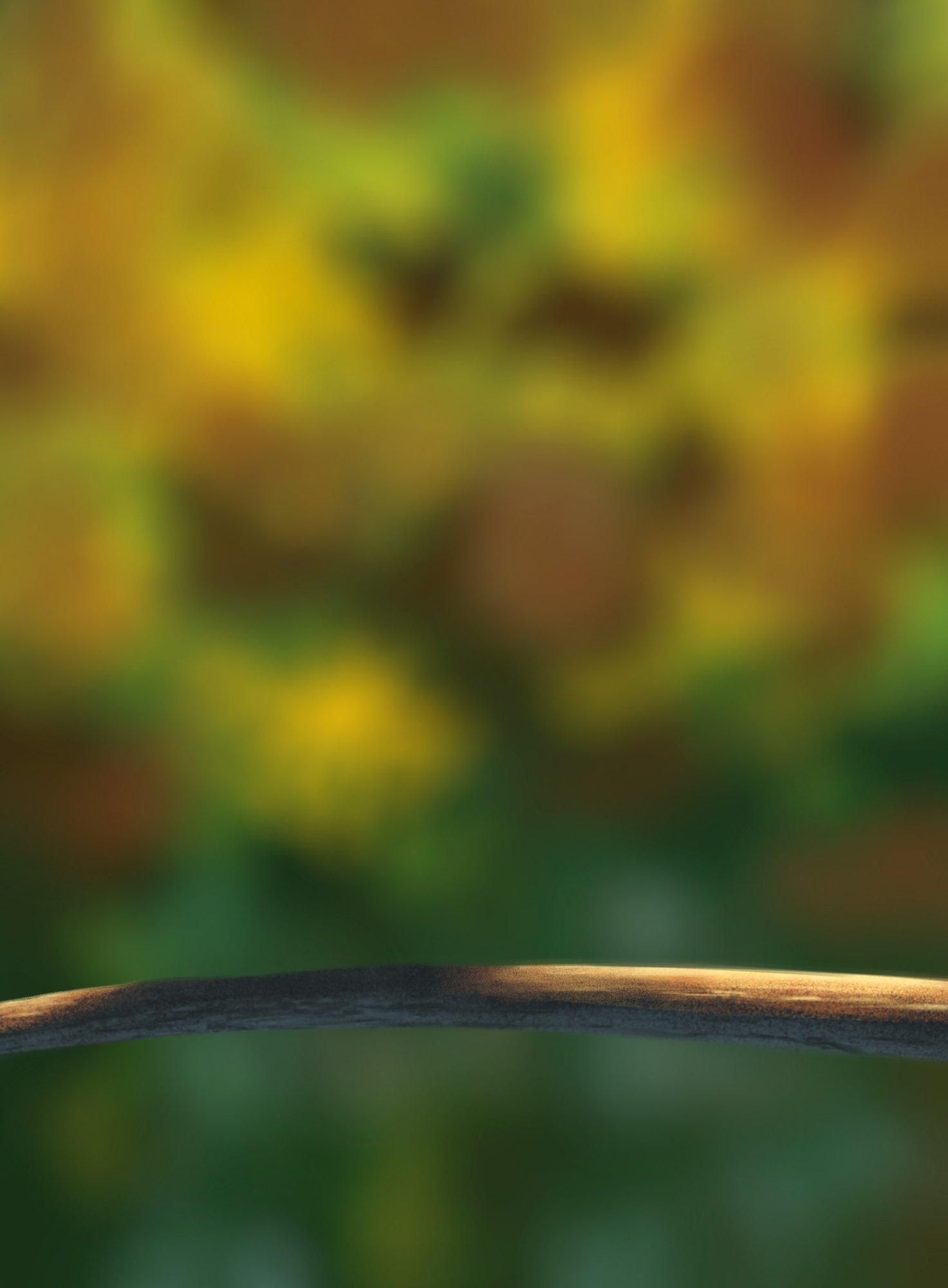 DPS Prog-1-1-Exercice5-Oiseau-Etape1 - Thieum.jpg