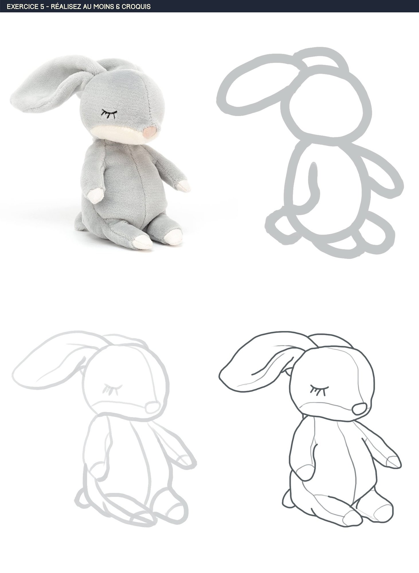 DPS-Prog-1-2-exercice5-lapin.jpg
