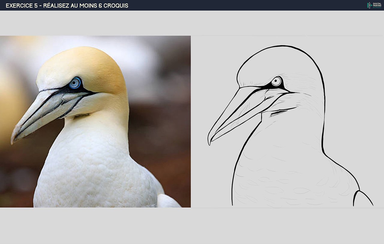 exercice_5-1.jpg.2d873ece5f36fc2309bcb46b2e45df78.jpg