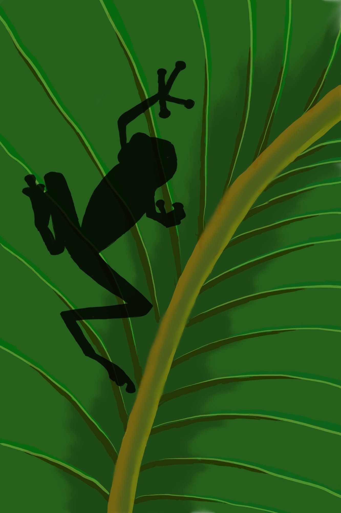 grenouille sous feuille.jpg