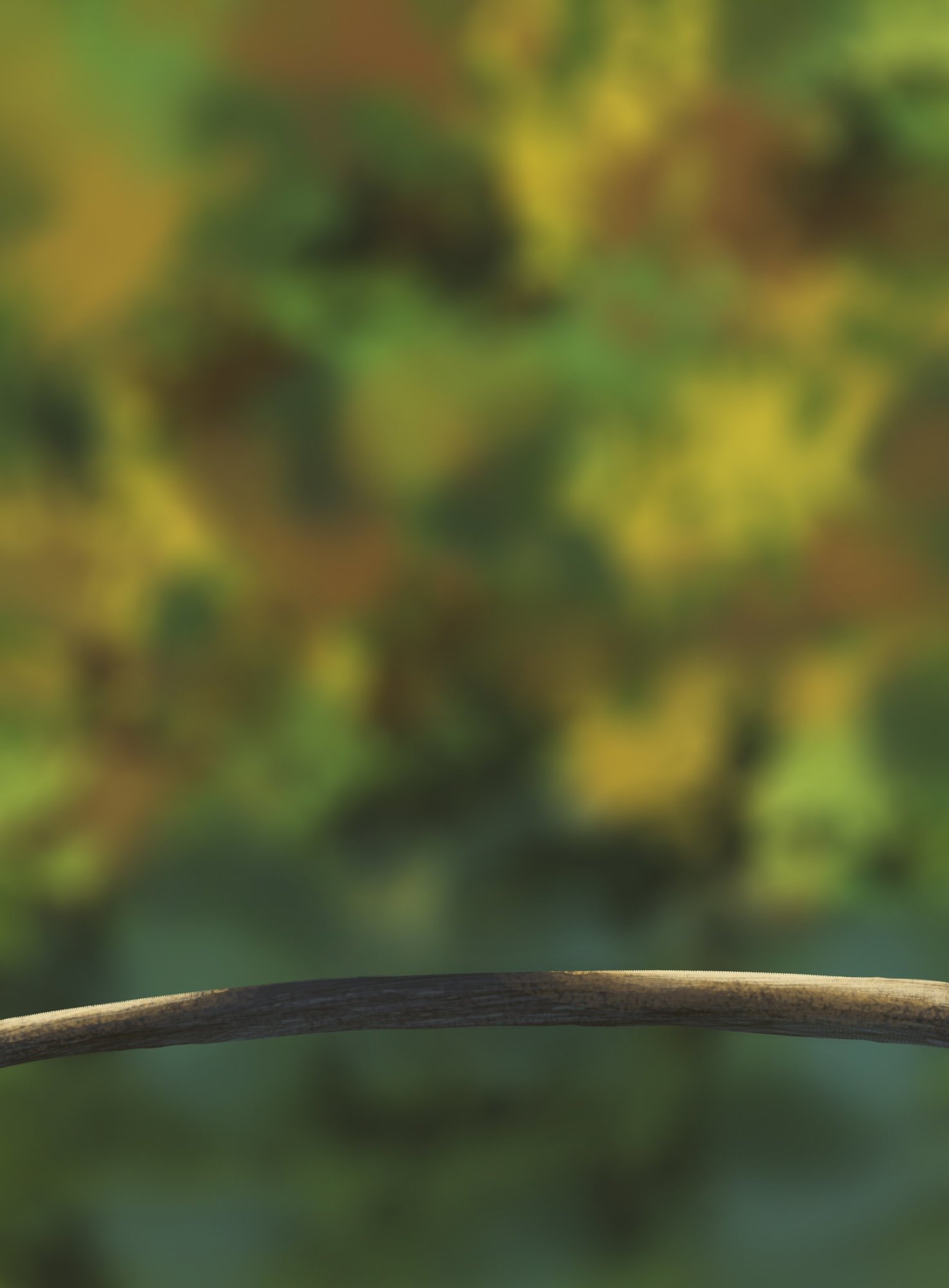 DPS Prog-1-1-Exercice5-Oiseau-Commencement VER 3.jpg