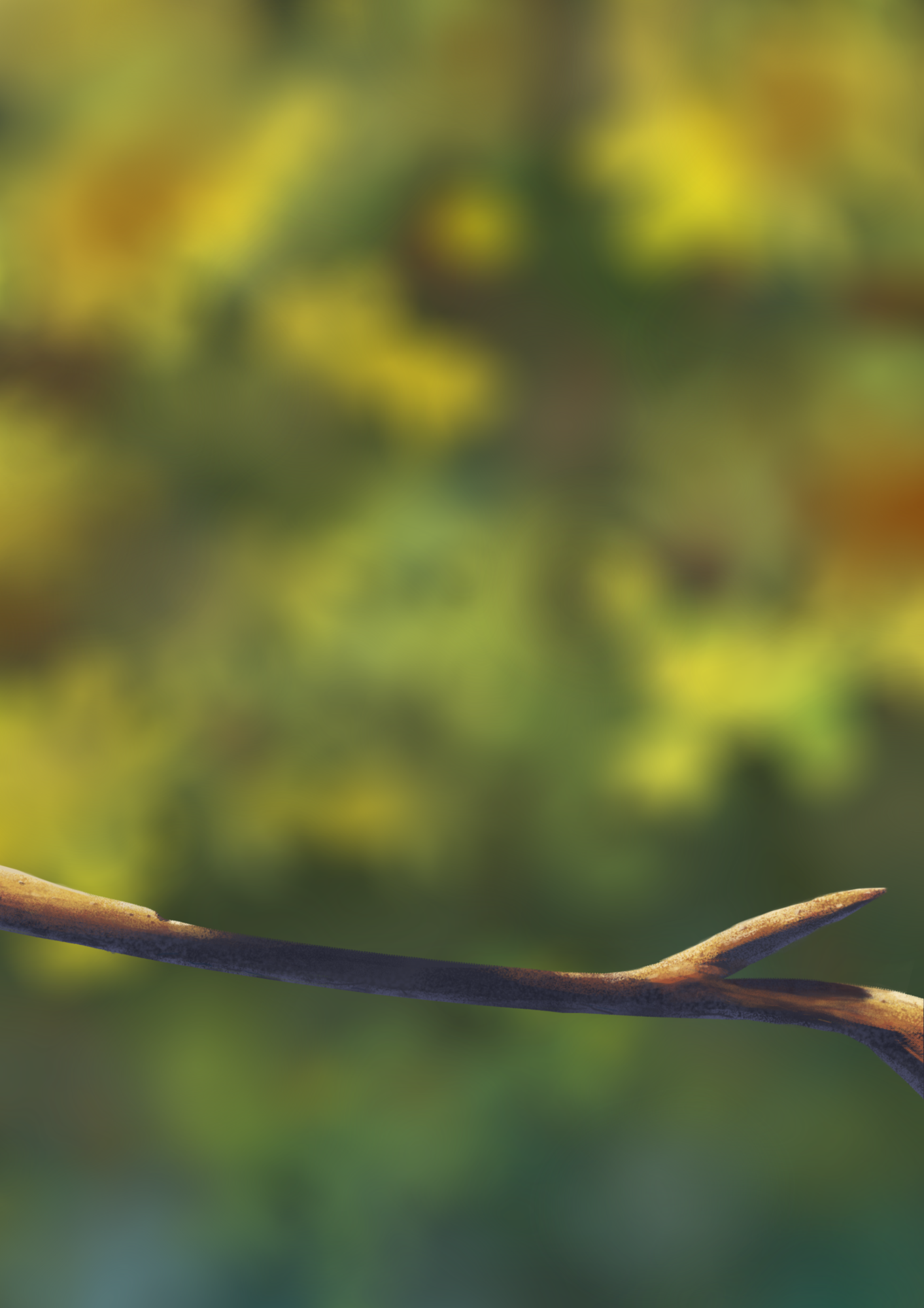 Oiseaux exo 5 correction avec ombres 2.png