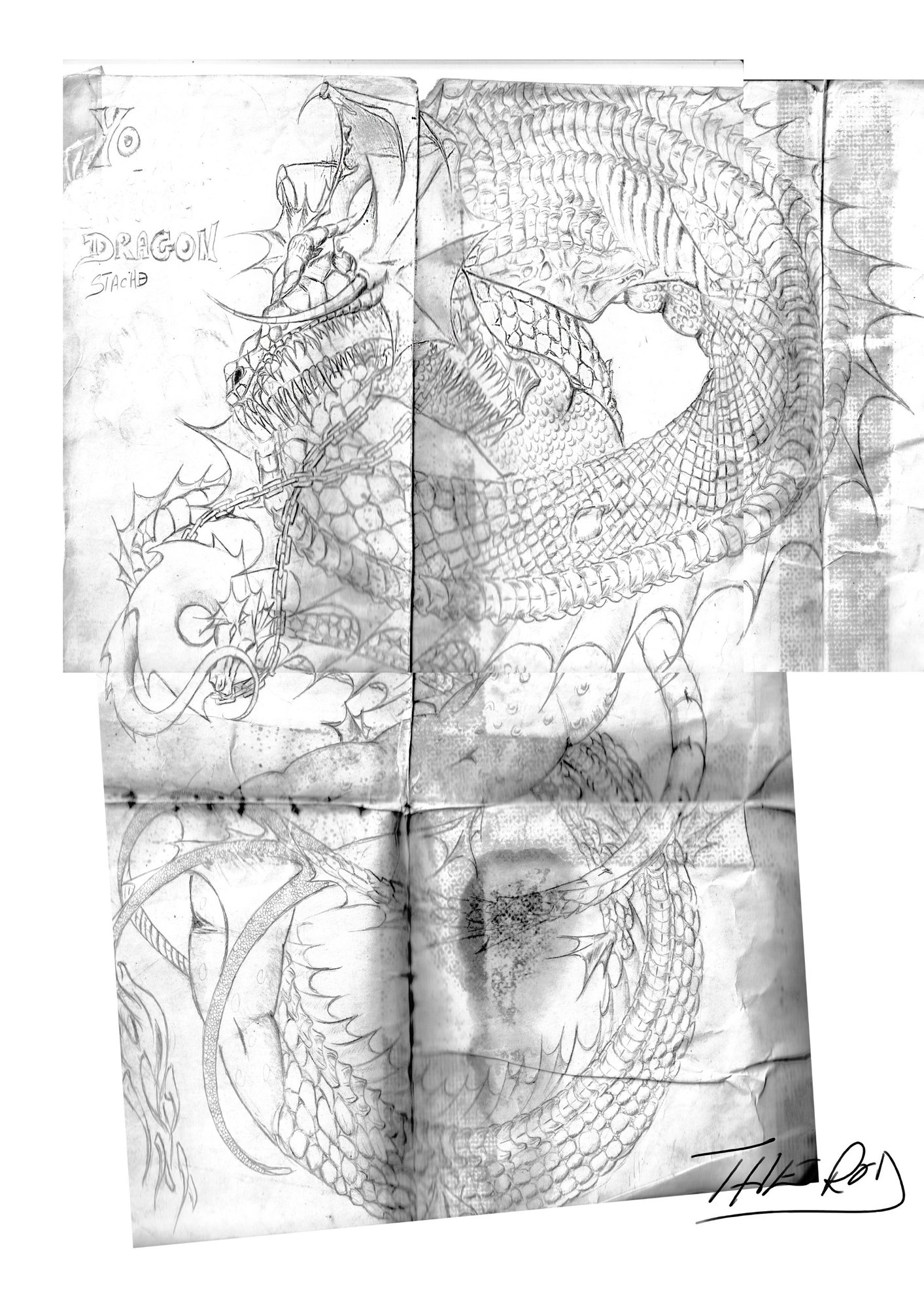 stache brute taille 1.1.jpg