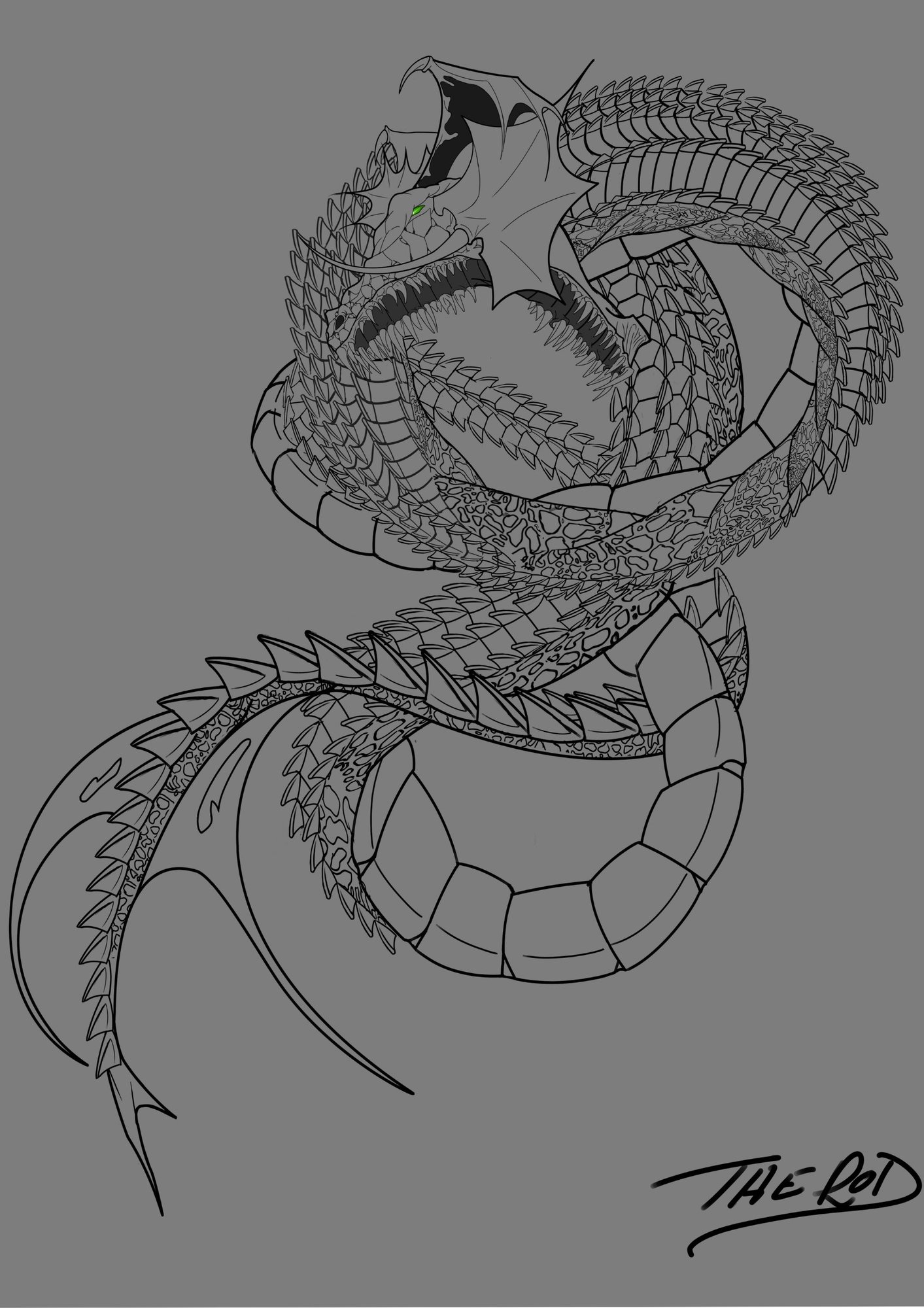 snolght stache dragon-fin.-020221-1502211943- 34h-taille.jpg