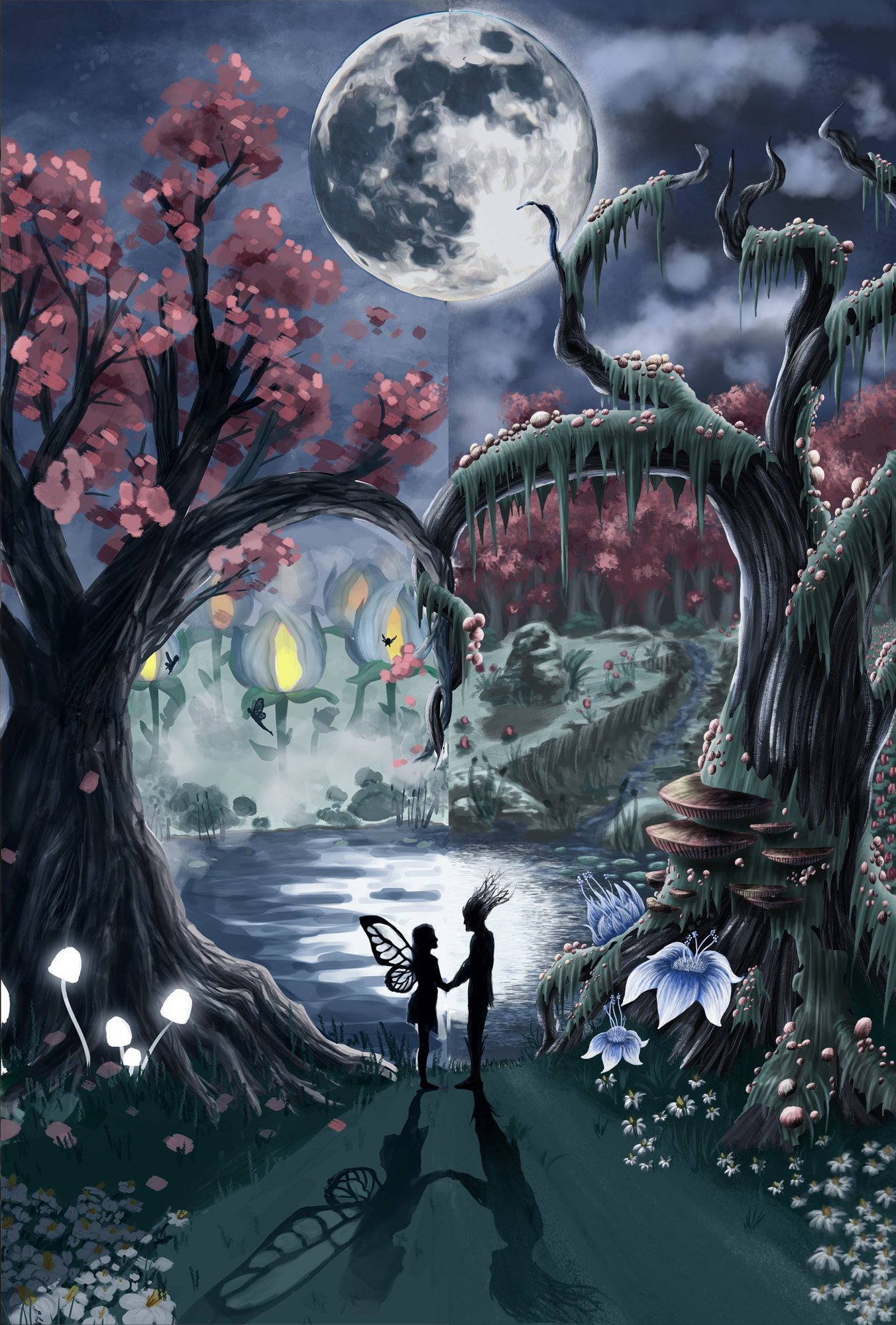 illustration fini !.jpg