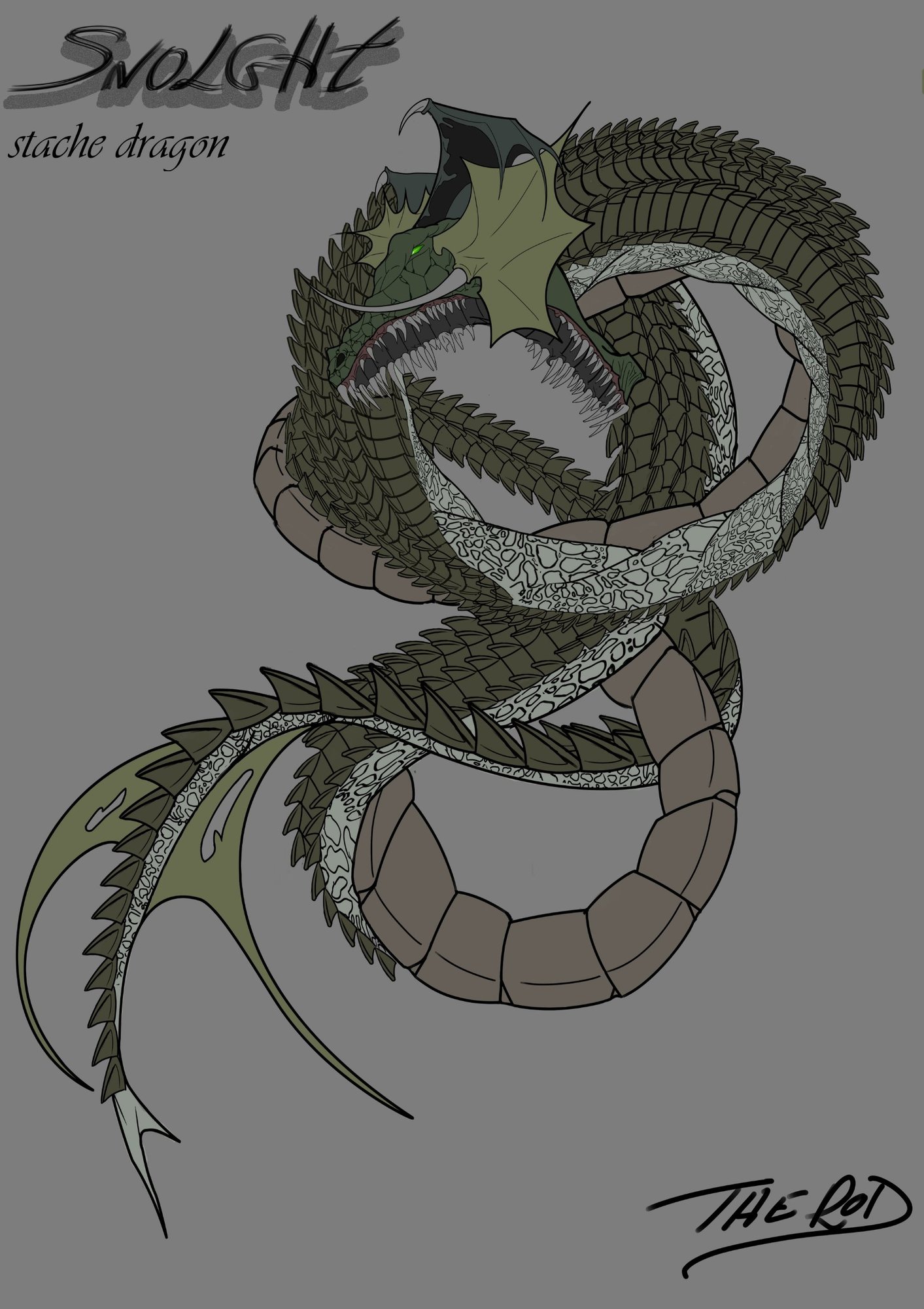 snolght stache dragon-fin.-020221-1502211943- 34h-taille couleure.jpg