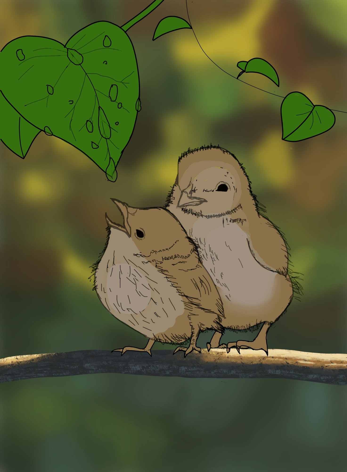 croquis oisillons.jpg