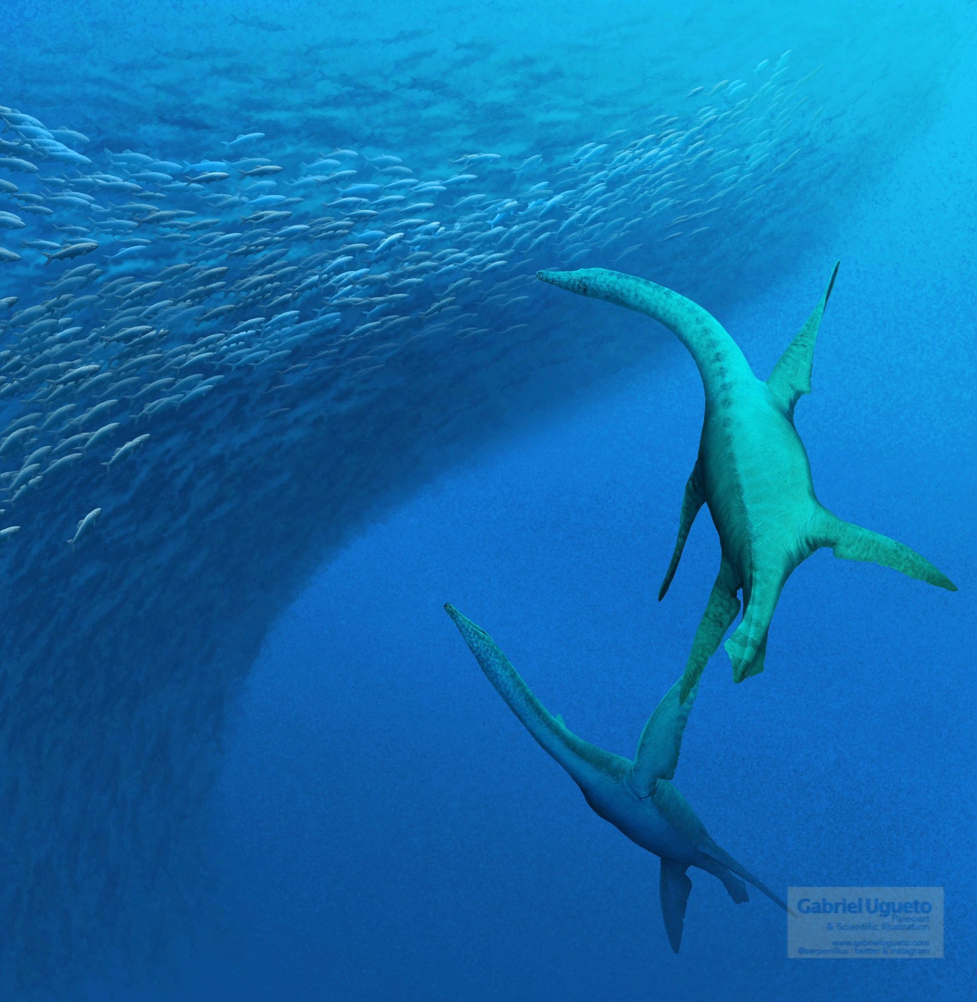 Hauffiosaurus banc de poissons (2).jpg