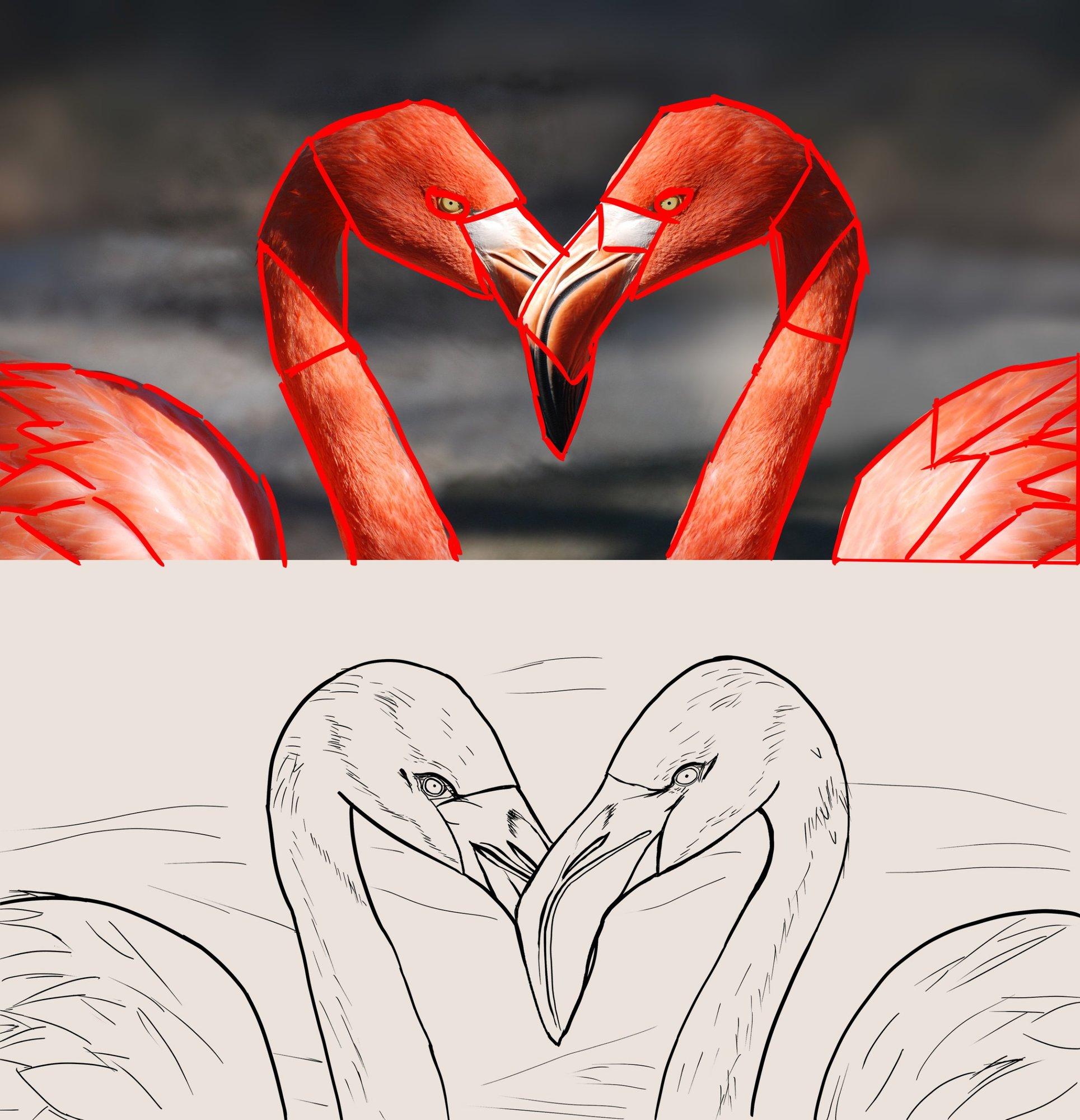 flamingo-valentine-heart-valentine-s-day-39627.jpg