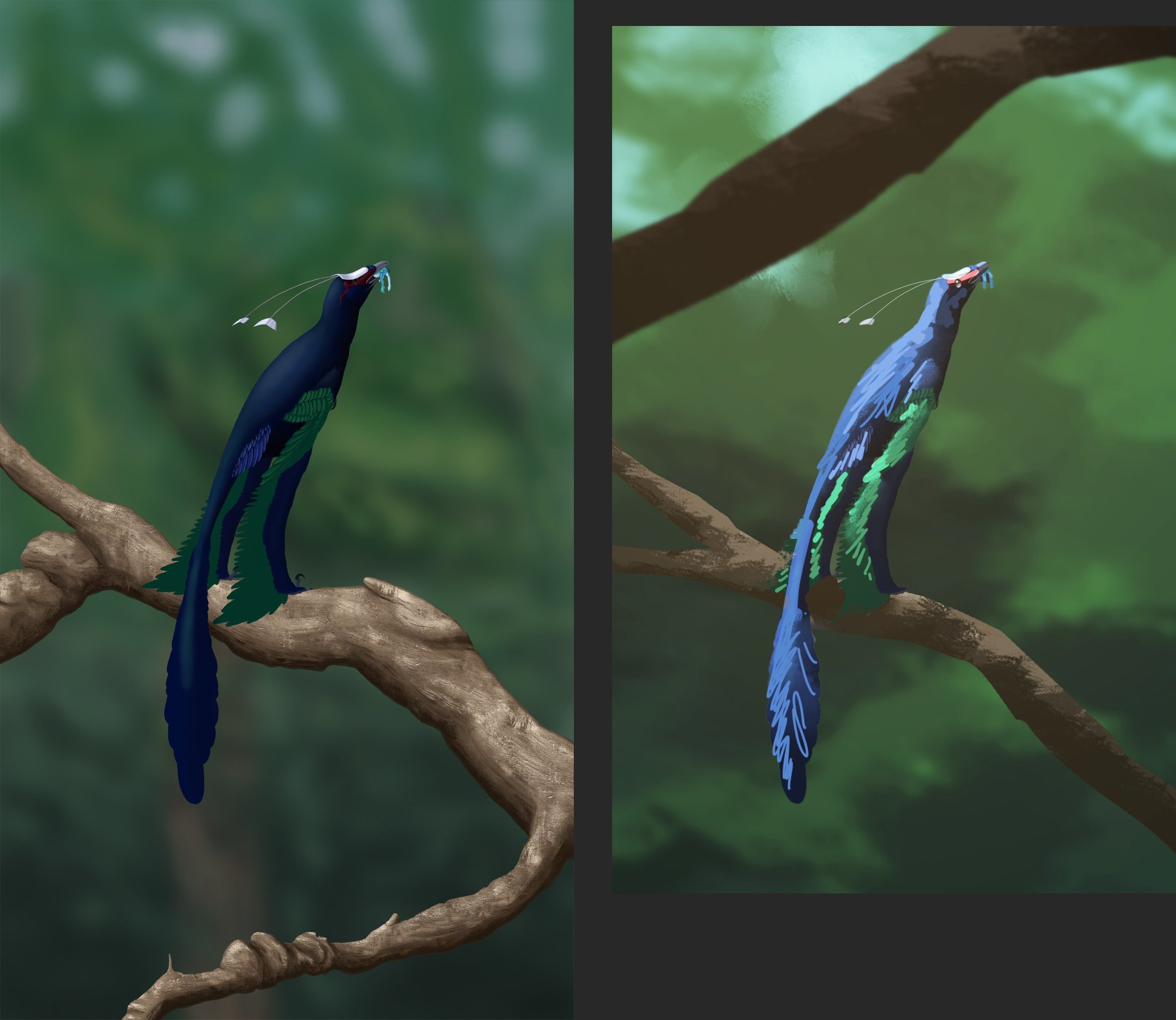 Sans titre-1 copie.jpg