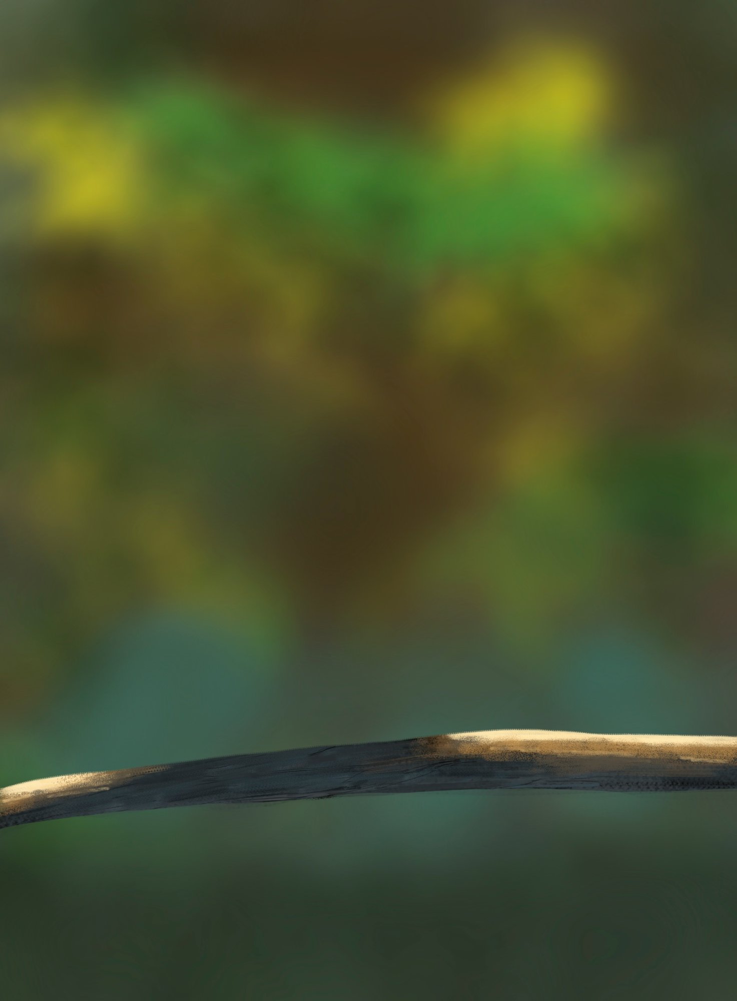 oisillons fond correction.jpg