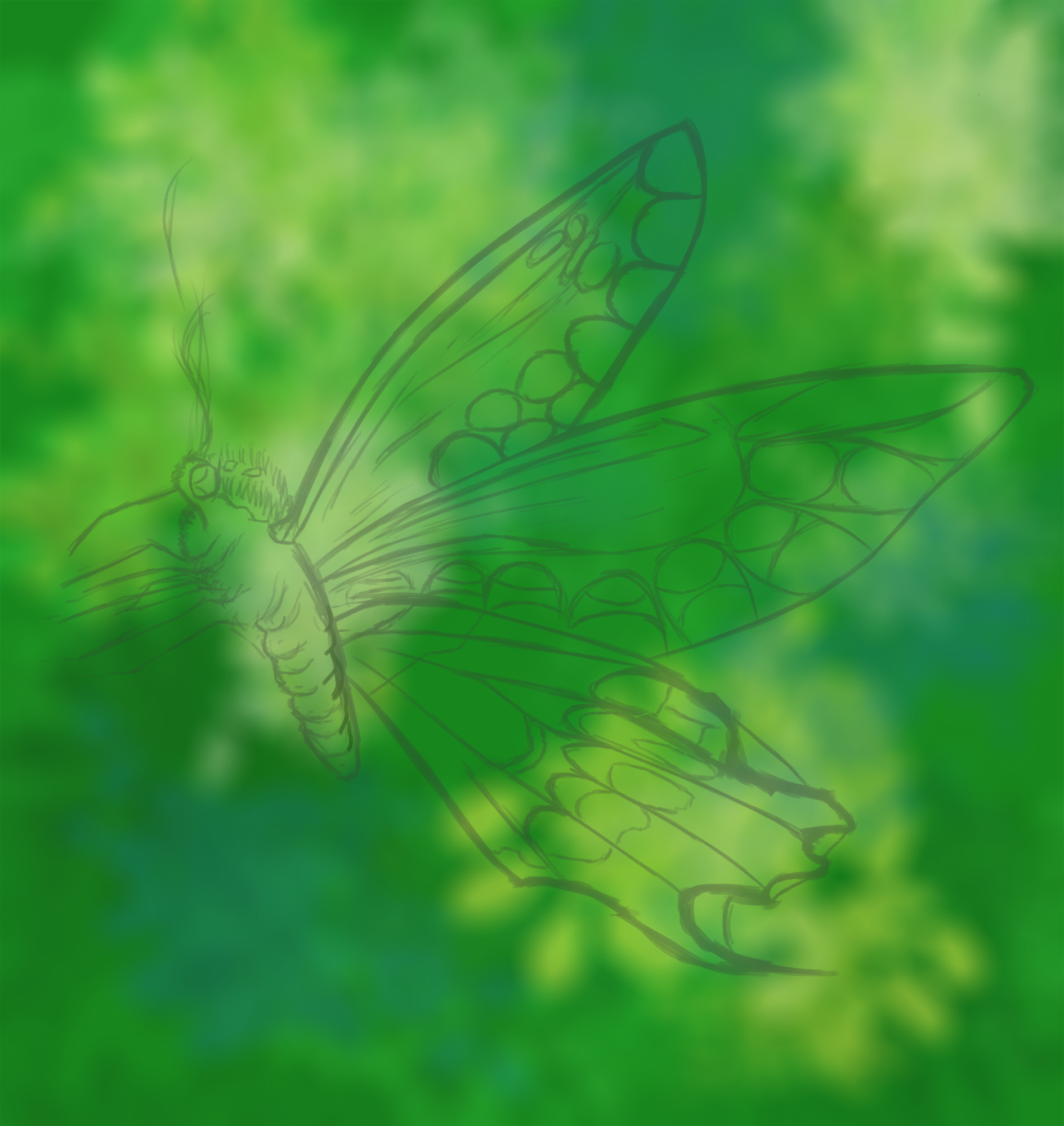 Papillons Croquis  2.png