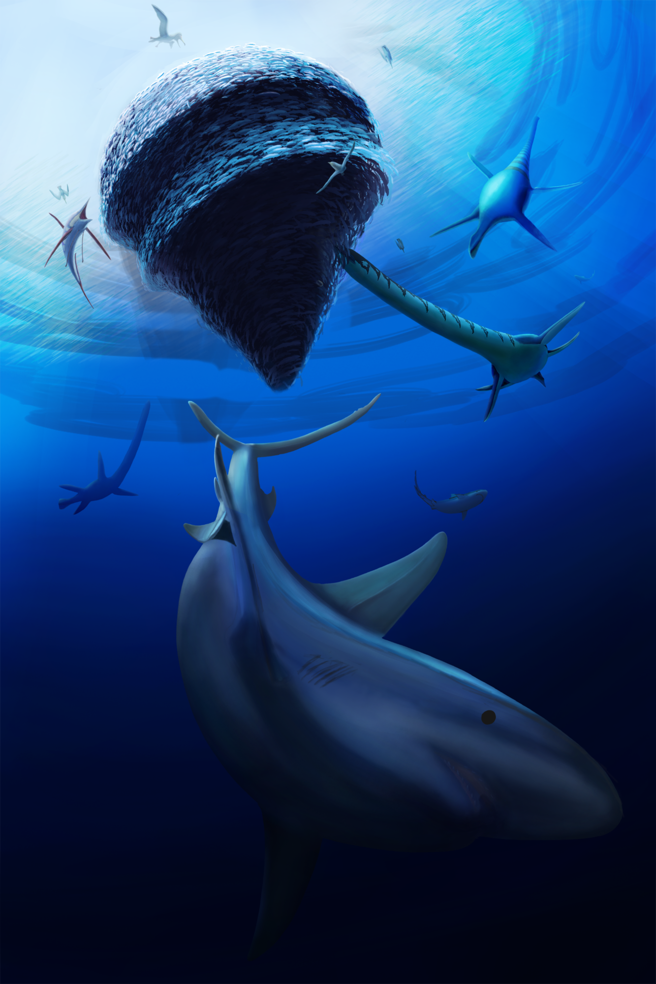 Squalicorax falcatus 4.png