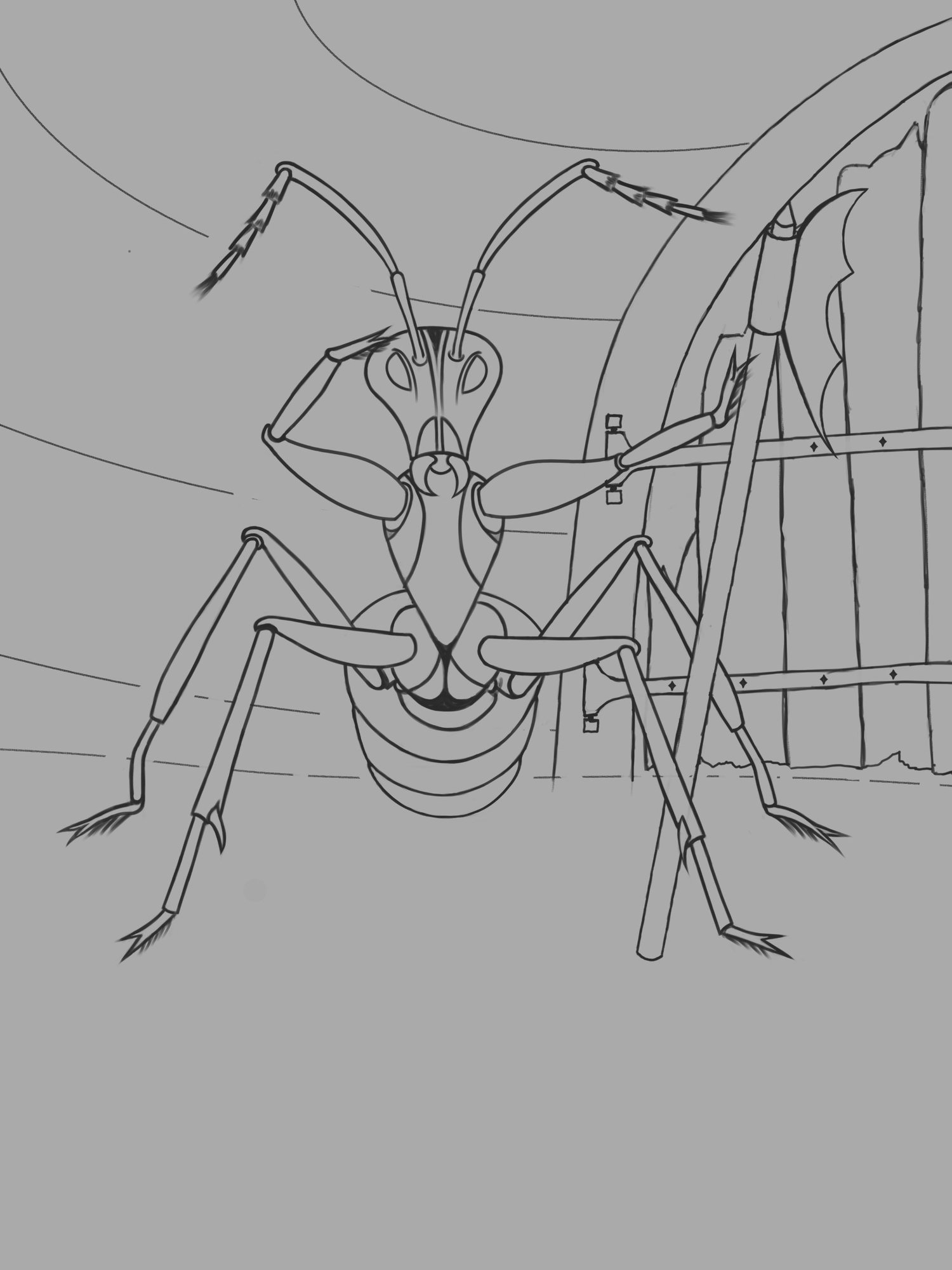 fourmi garde 2 suite 4 web.jpg