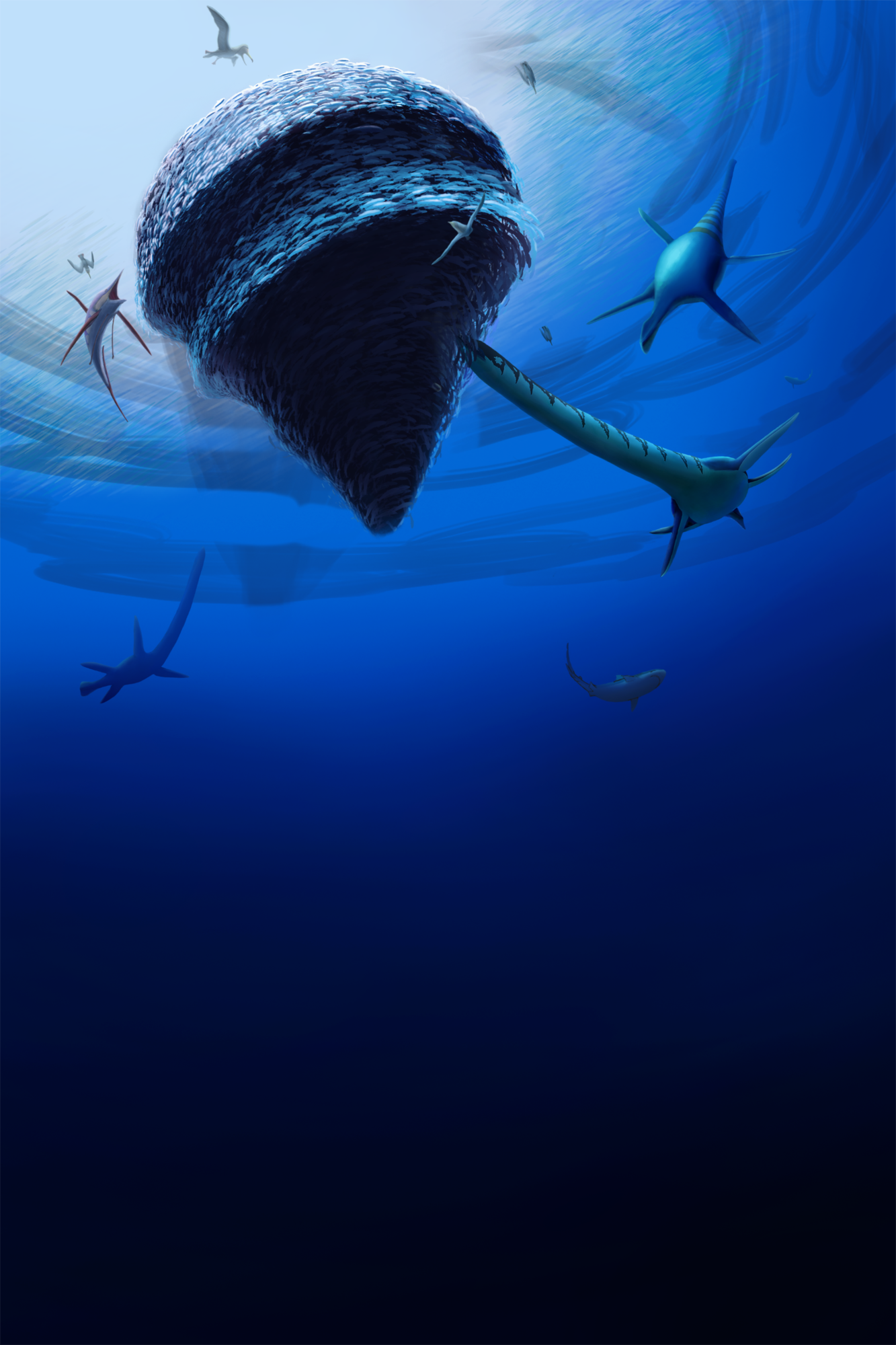 Squalicorax falcatus 4.png