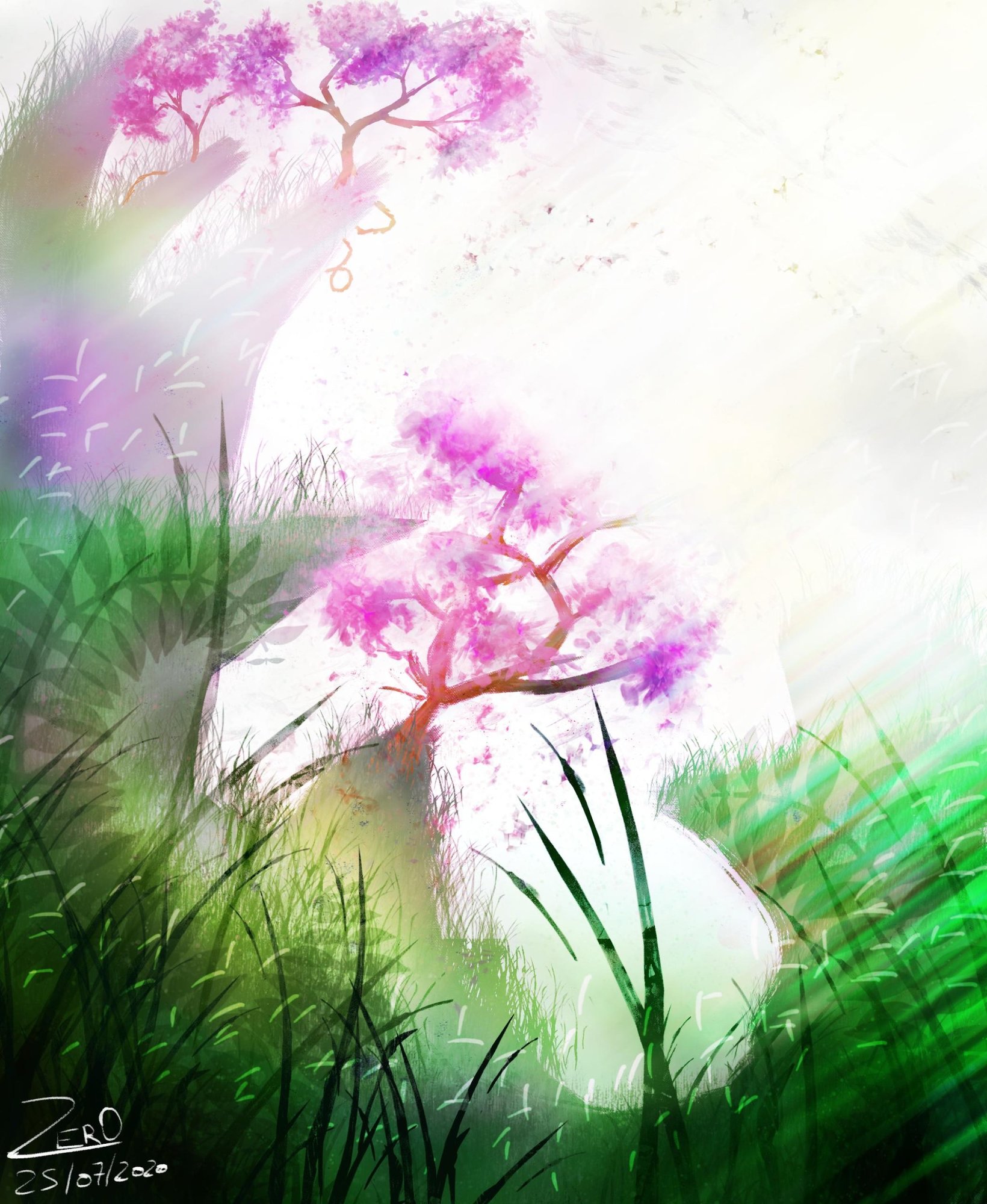 Sakura éblouissant.jpg